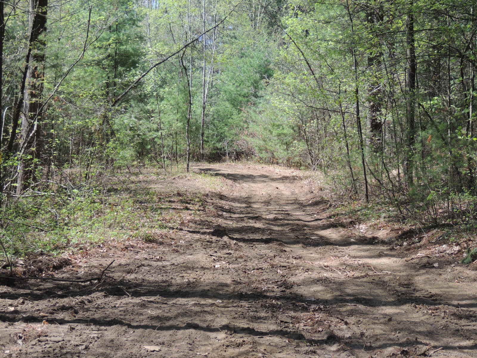 730 Clayton Rd Road Property Photo 18