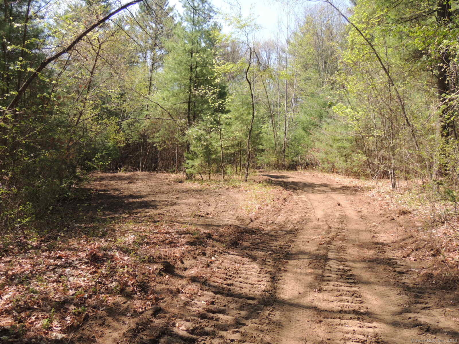 730 Clayton Rd Road Property Photo 19