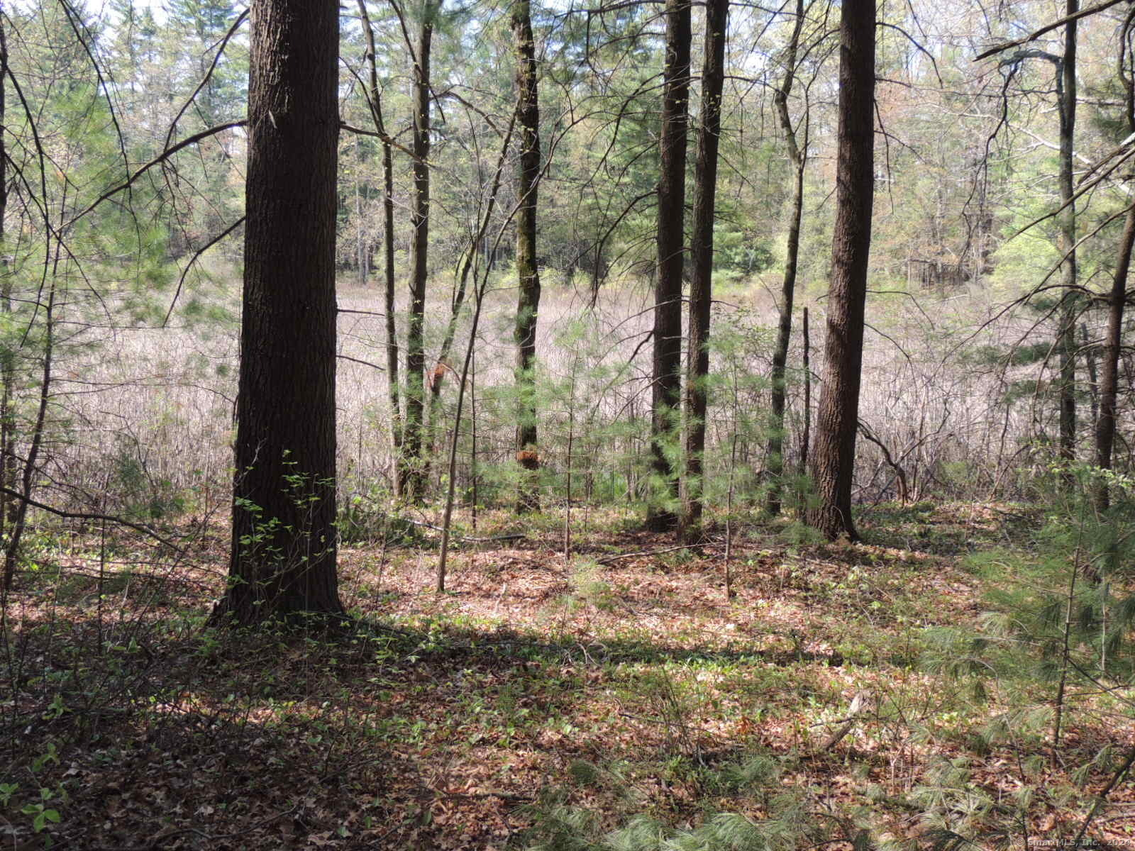 730 Clayton Rd Road Property Photo 20