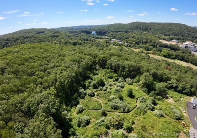 97 Nashville Road Property Photo 3
