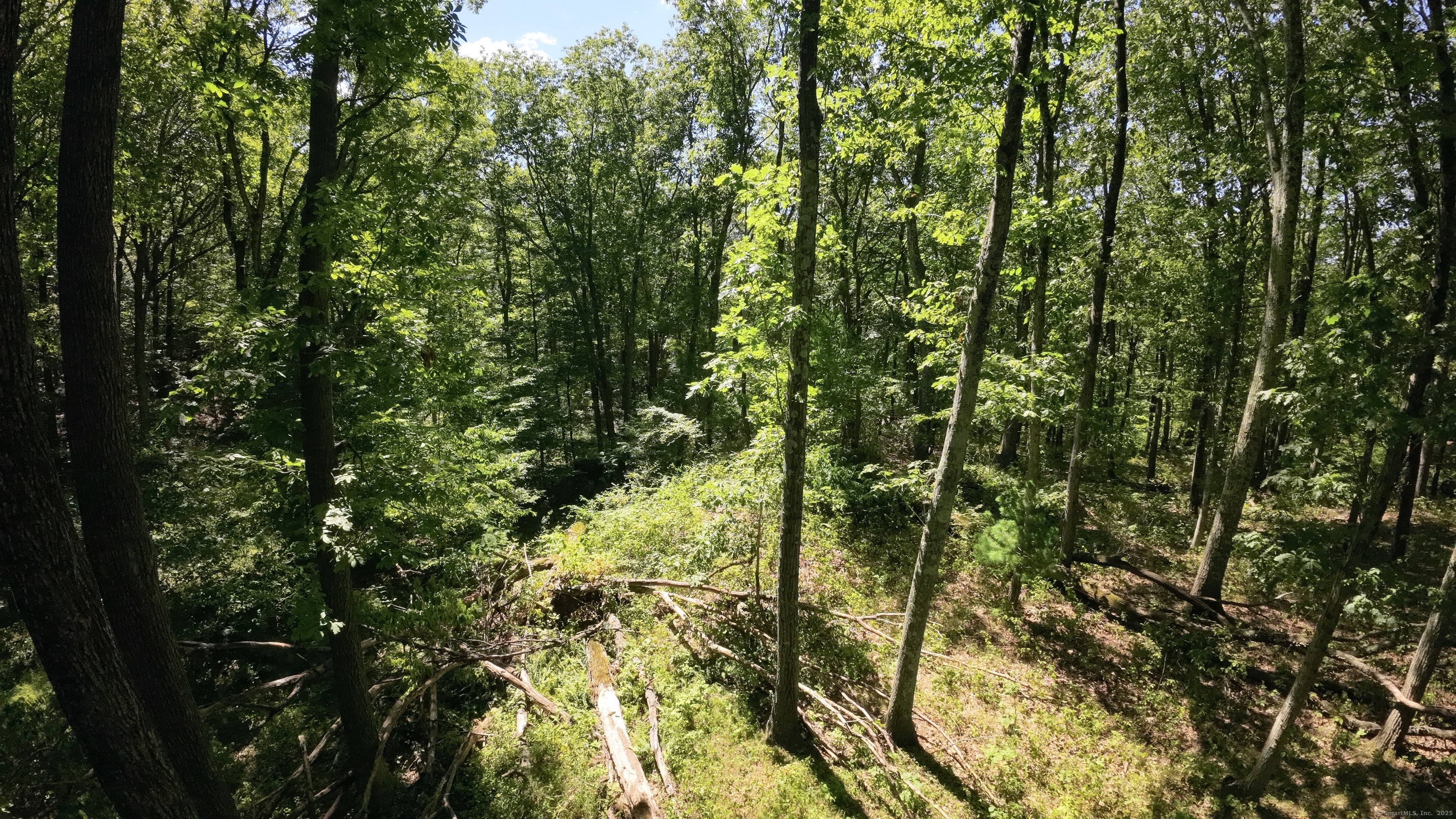 97 Nashville Road Property Photo 6