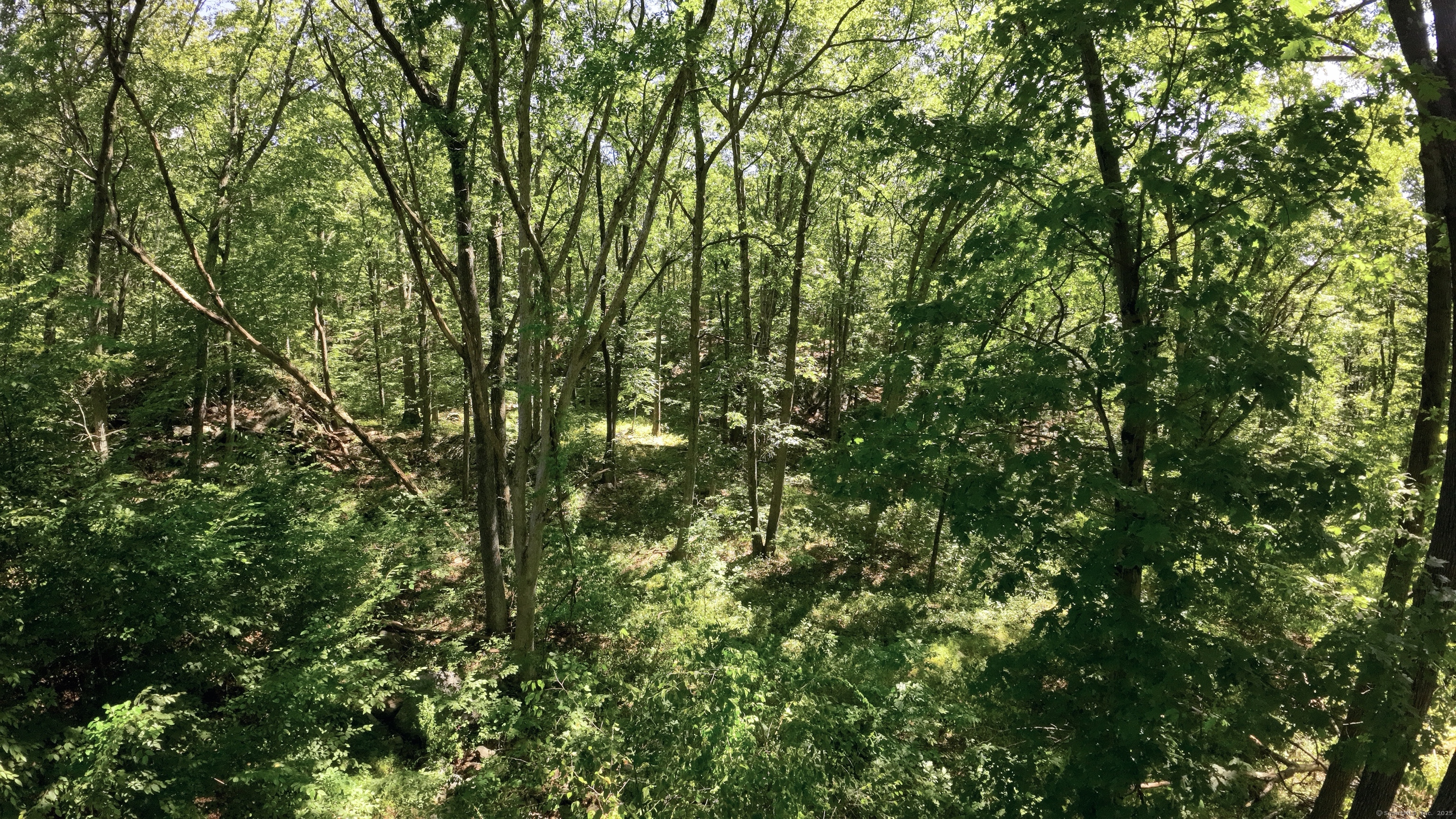97 Nashville Road Property Photo 8