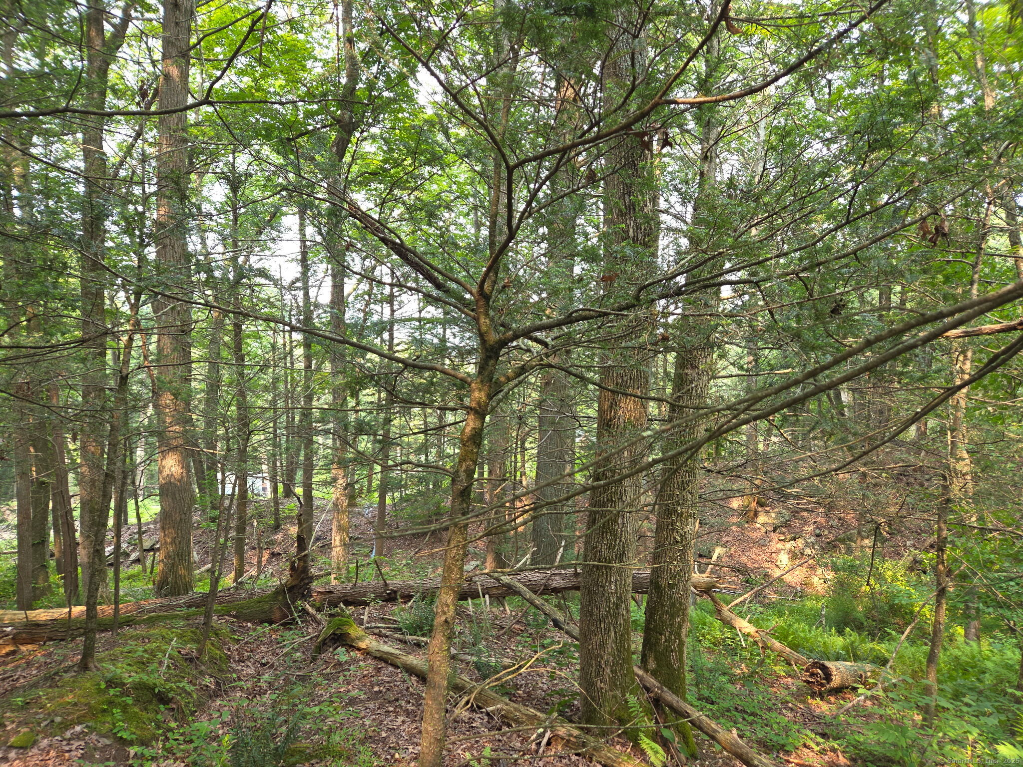 34 Front Of The Mountain Road Property Photo 2