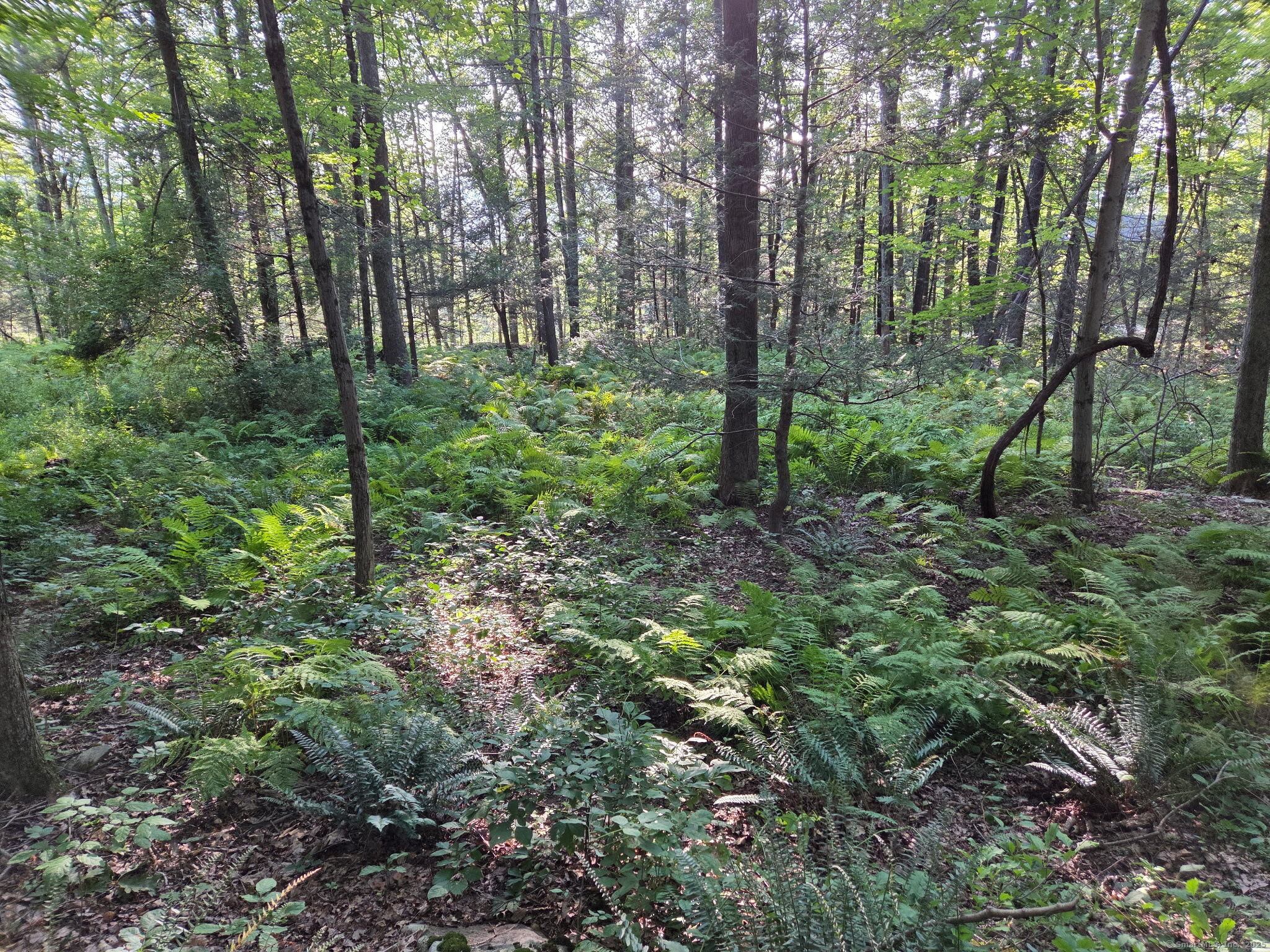 34 Front Of The Mountain Road Property Photo 5