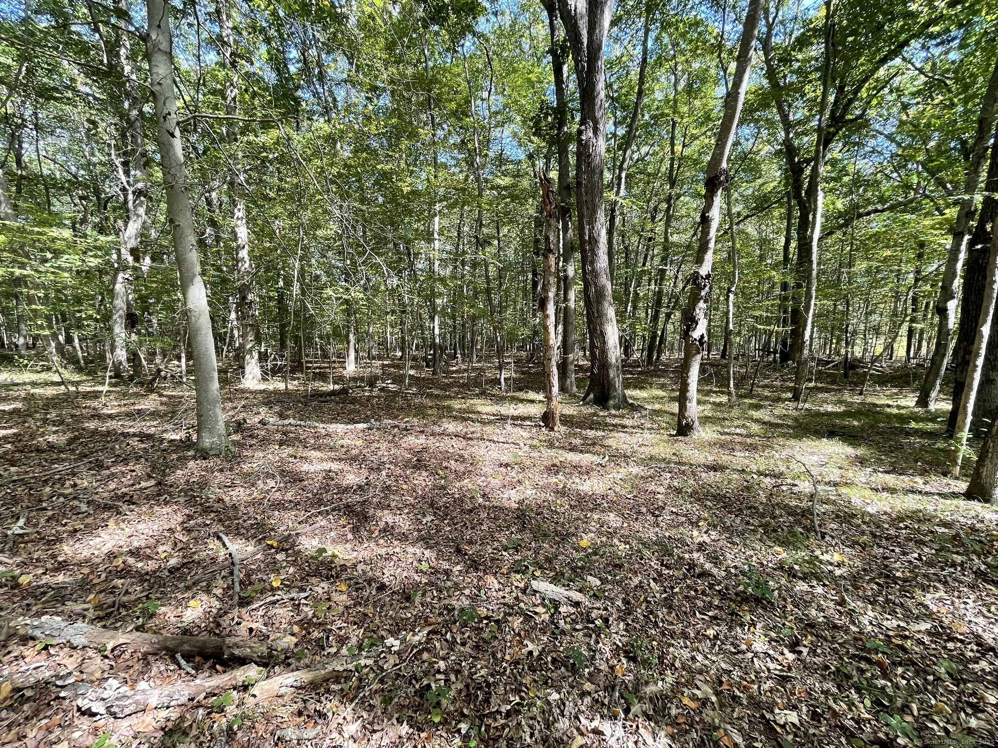 15 Short Hills Road Property Photo 8