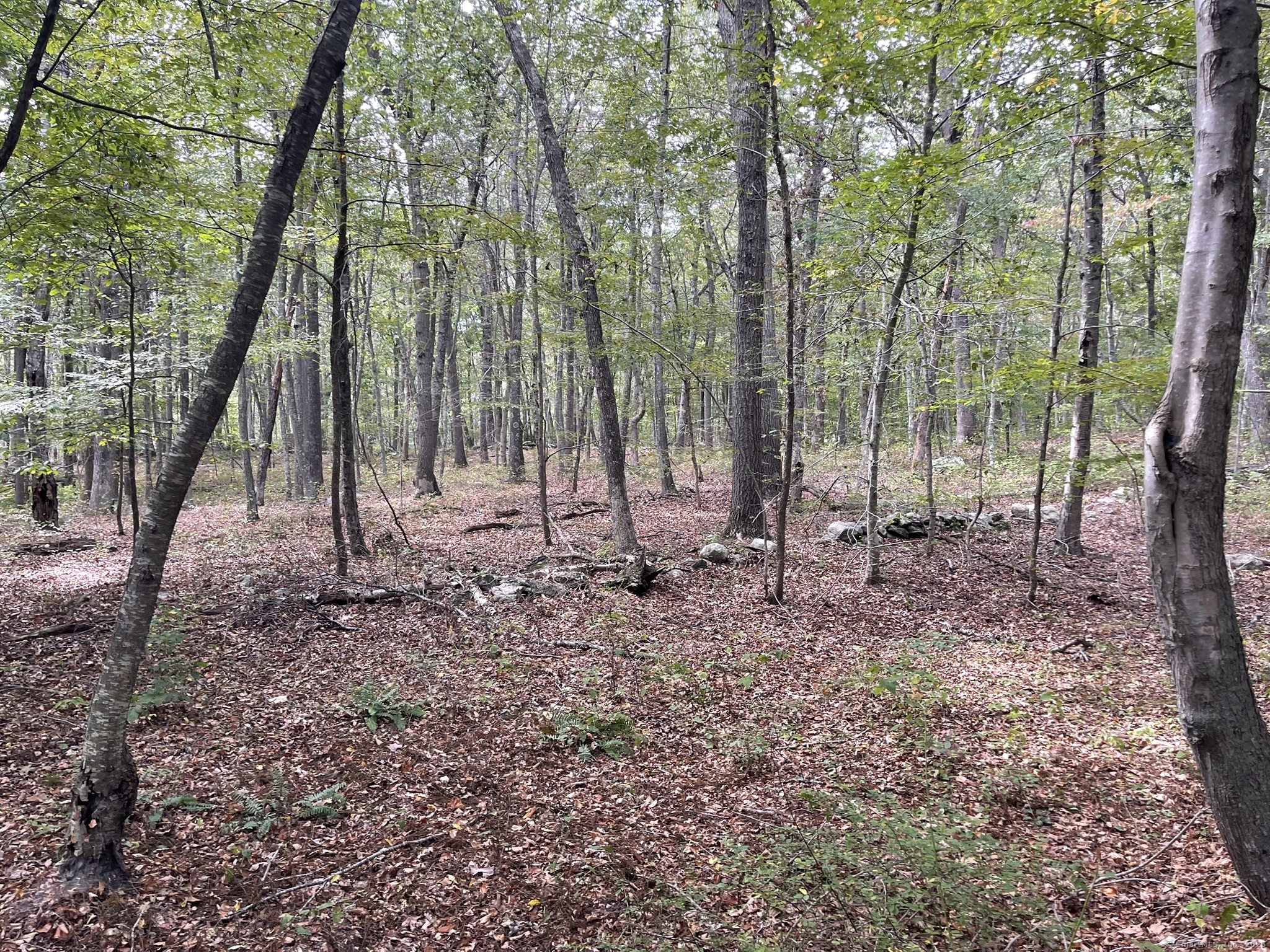 15 Short Hills Road Property Photo 17