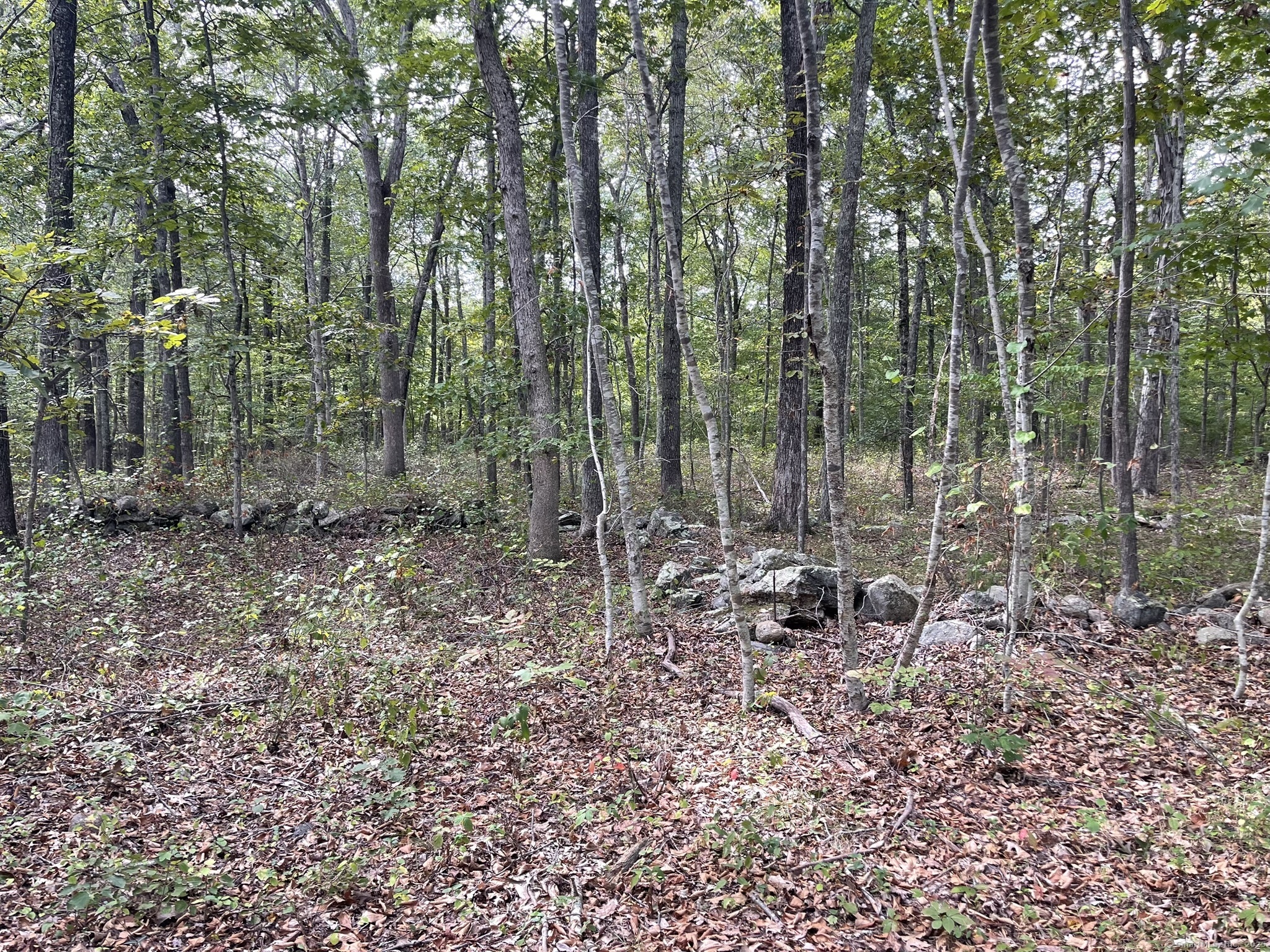 15 Short Hills Road Property Photo 18