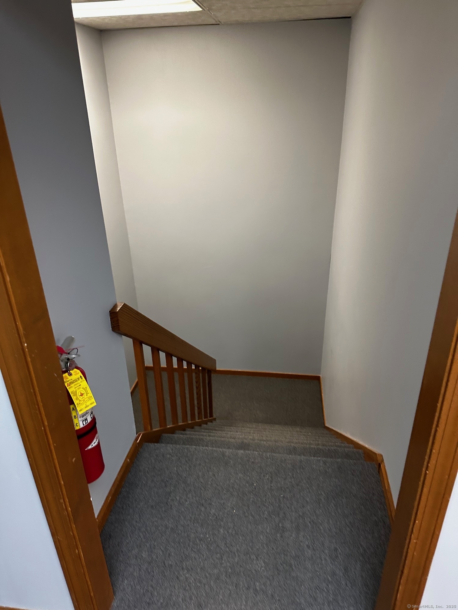 61 Ffyler Place Property Photo 10