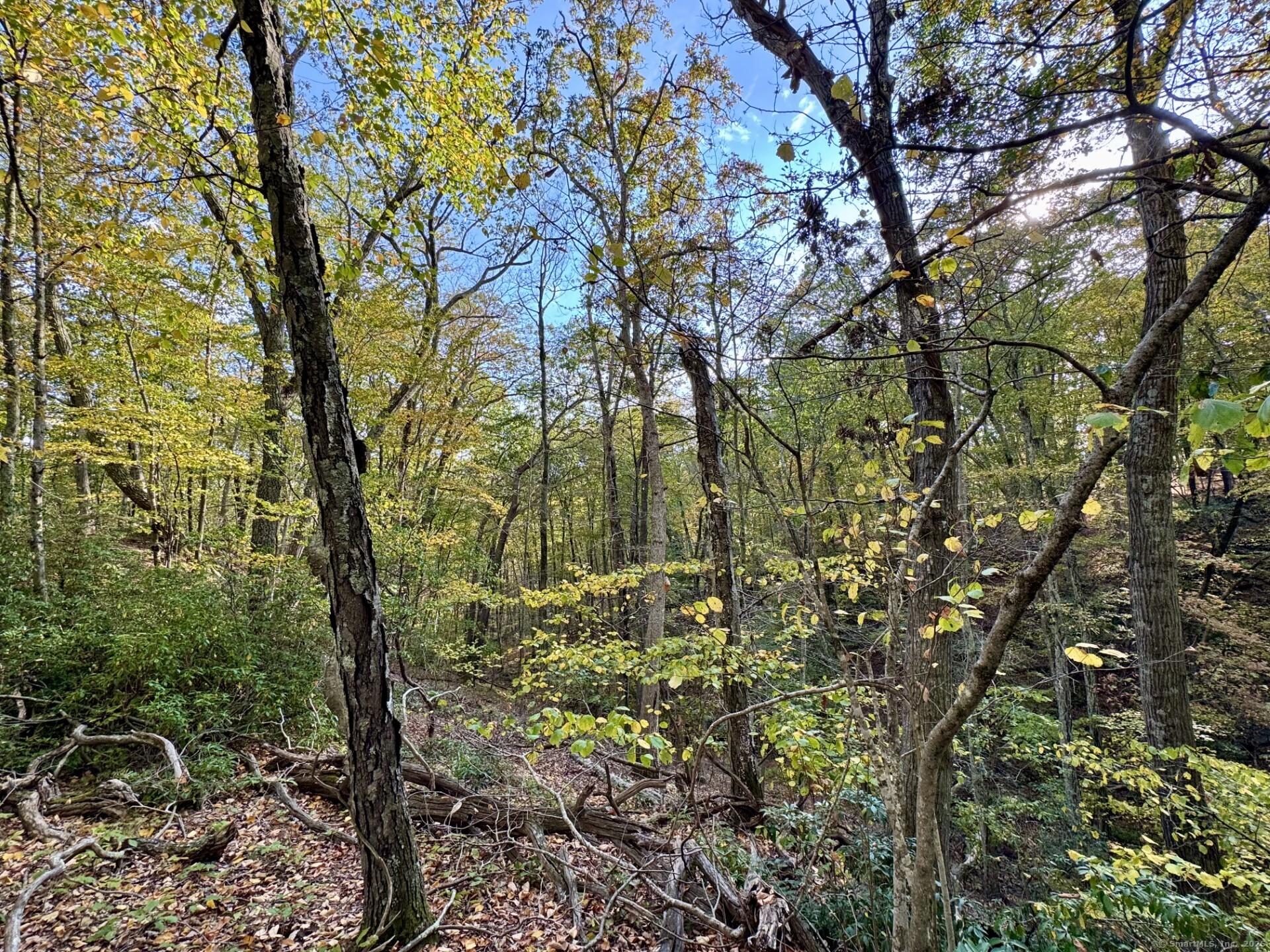 69 Moosehorn Road Property Photo 1