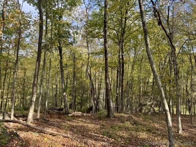 69 Moosehorn Road Property Photo 2