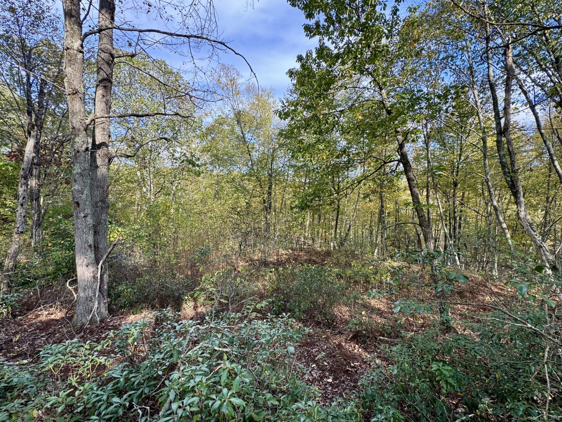 69 Moosehorn Road Property Photo 3