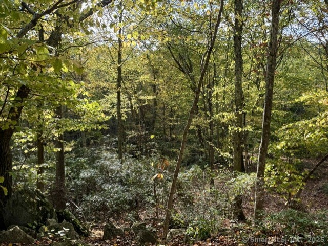 69 Moosehorn Road Property Photo 4