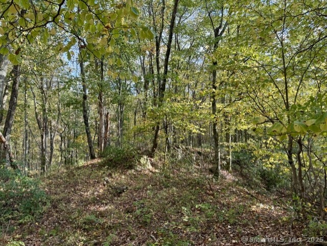 69 Moosehorn Road Property Photo 5