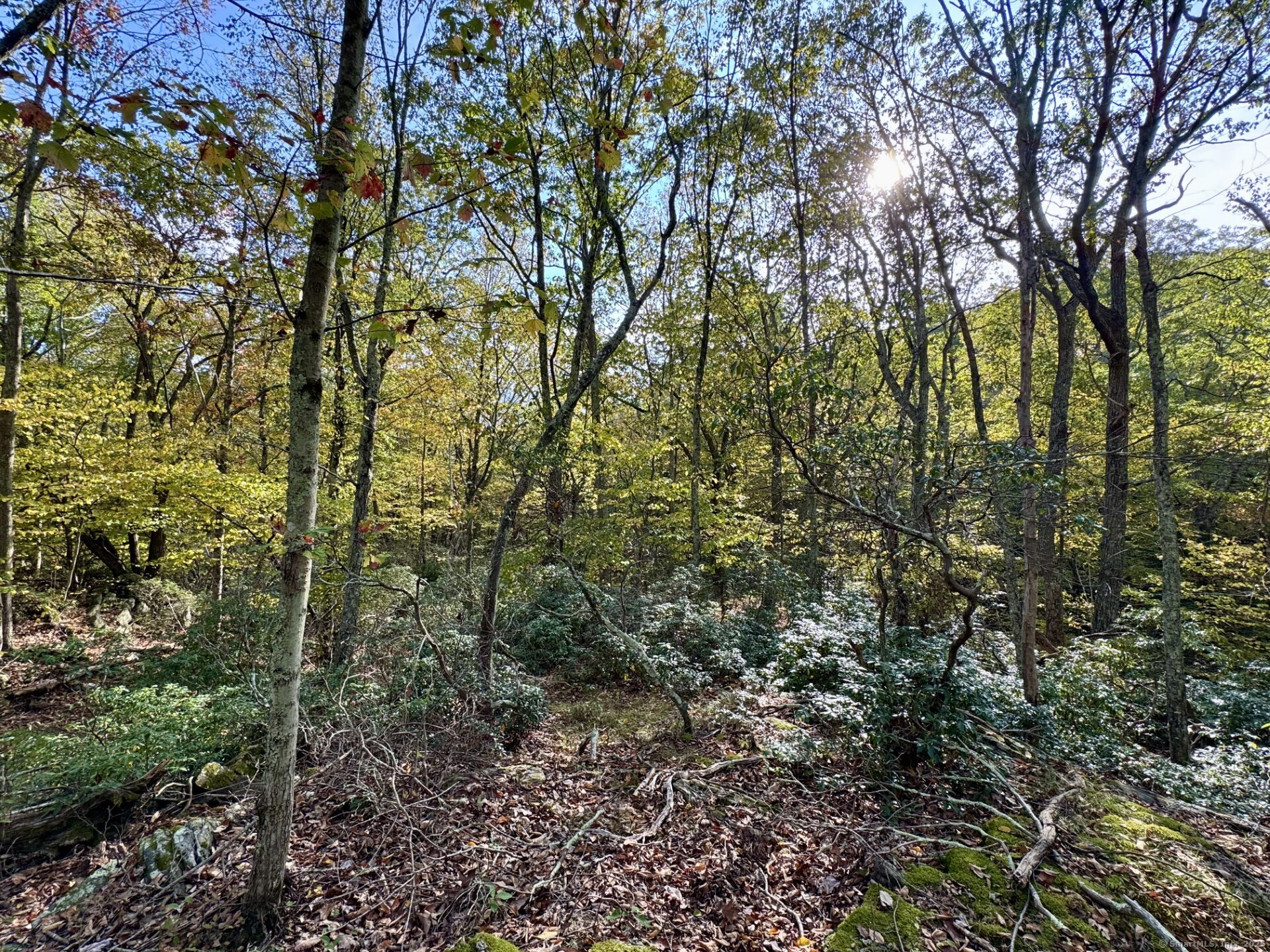 69 Moosehorn Road Property Photo 7