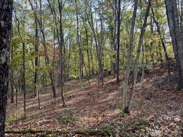 69 Moosehorn Road Property Photo 8