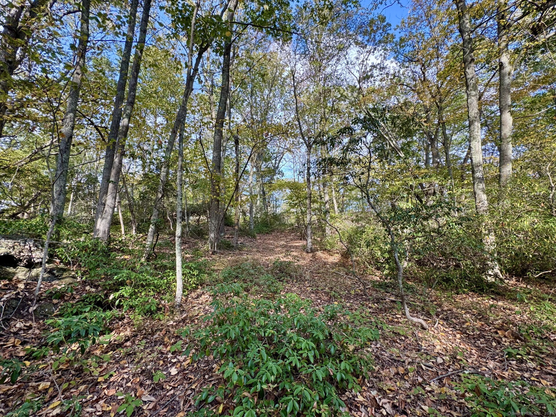69 Moosehorn Road Property Photo 10