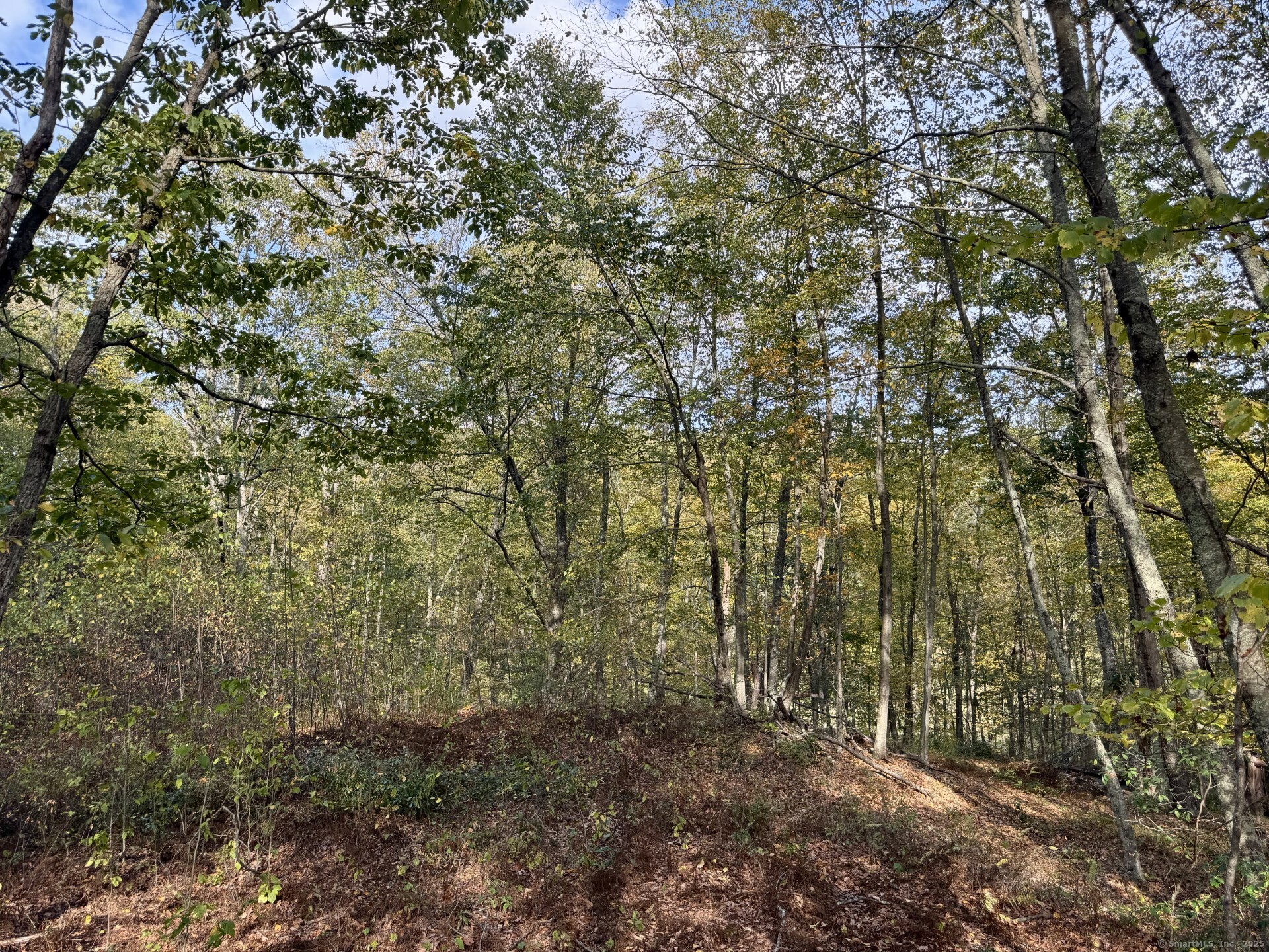 69 Moosehorn Road Property Photo 11