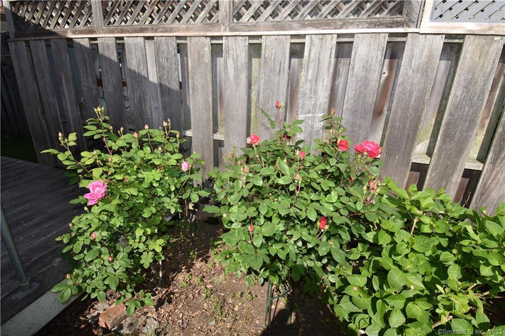 15 Trumbull Street Property Photo 26