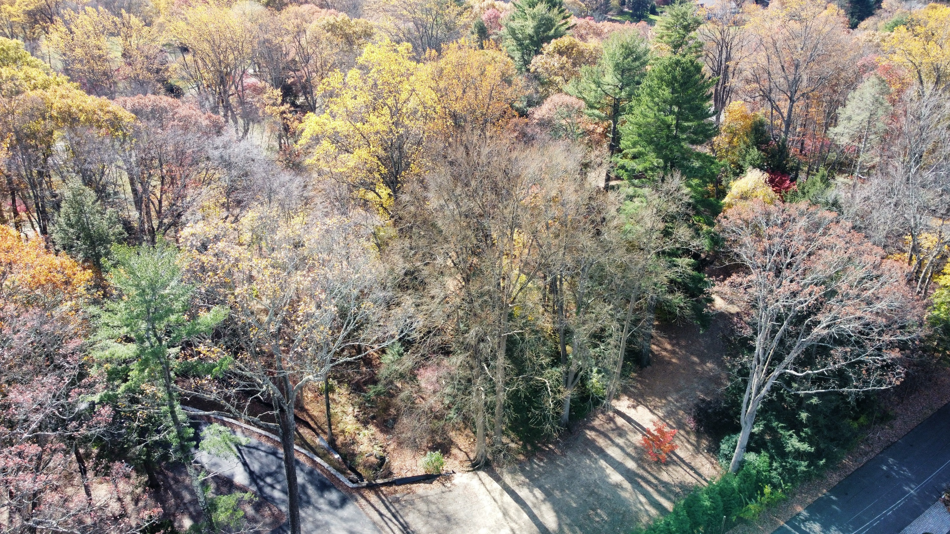 122 Brookwood Lane Property Photo 4