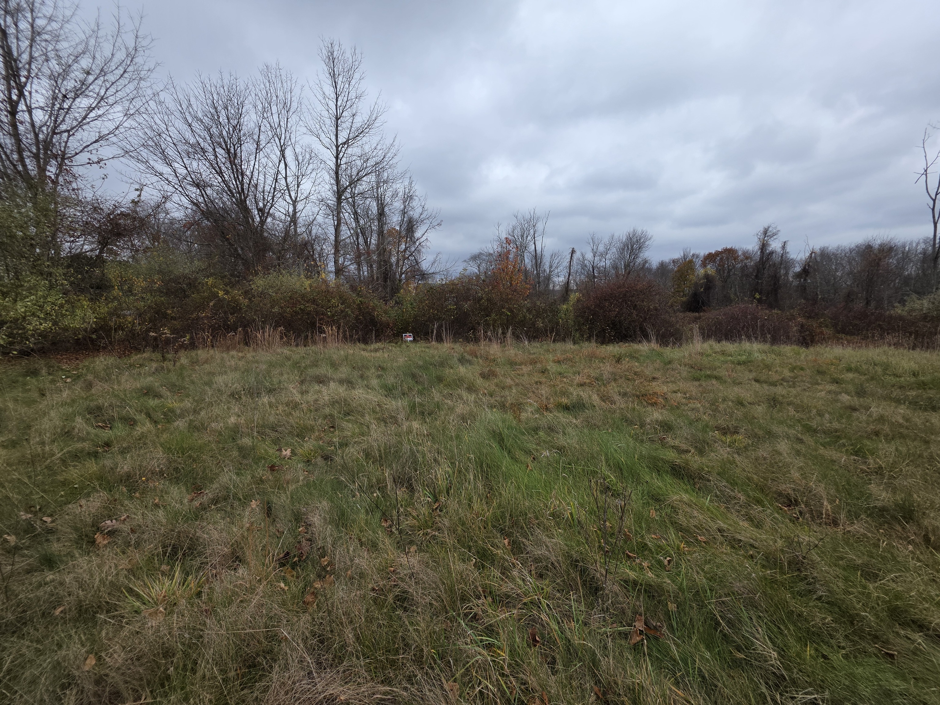 2 Lorrie Anne Drive Property Photo 8