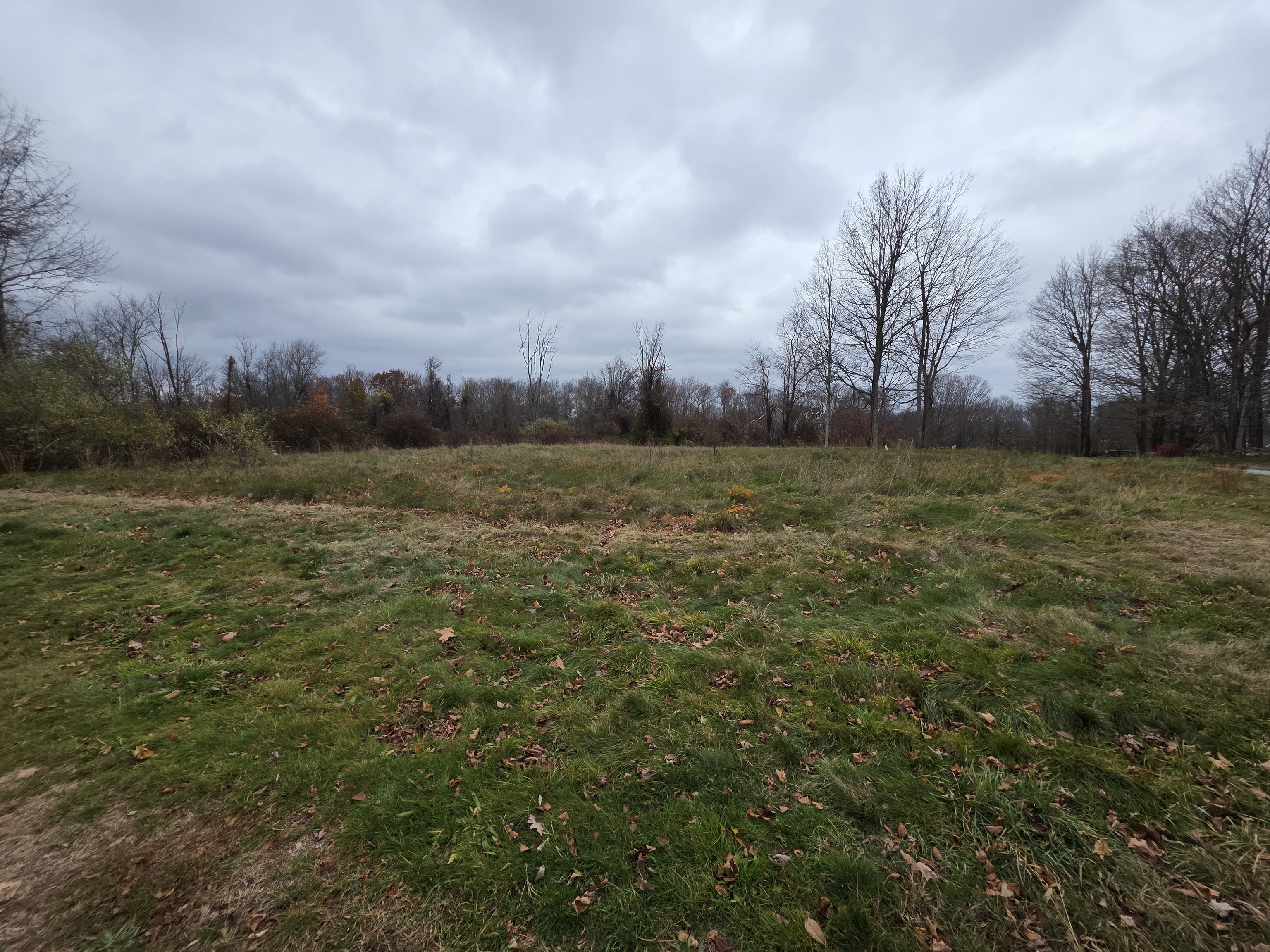 2 Lorrie Anne Drive Property Photo 9
