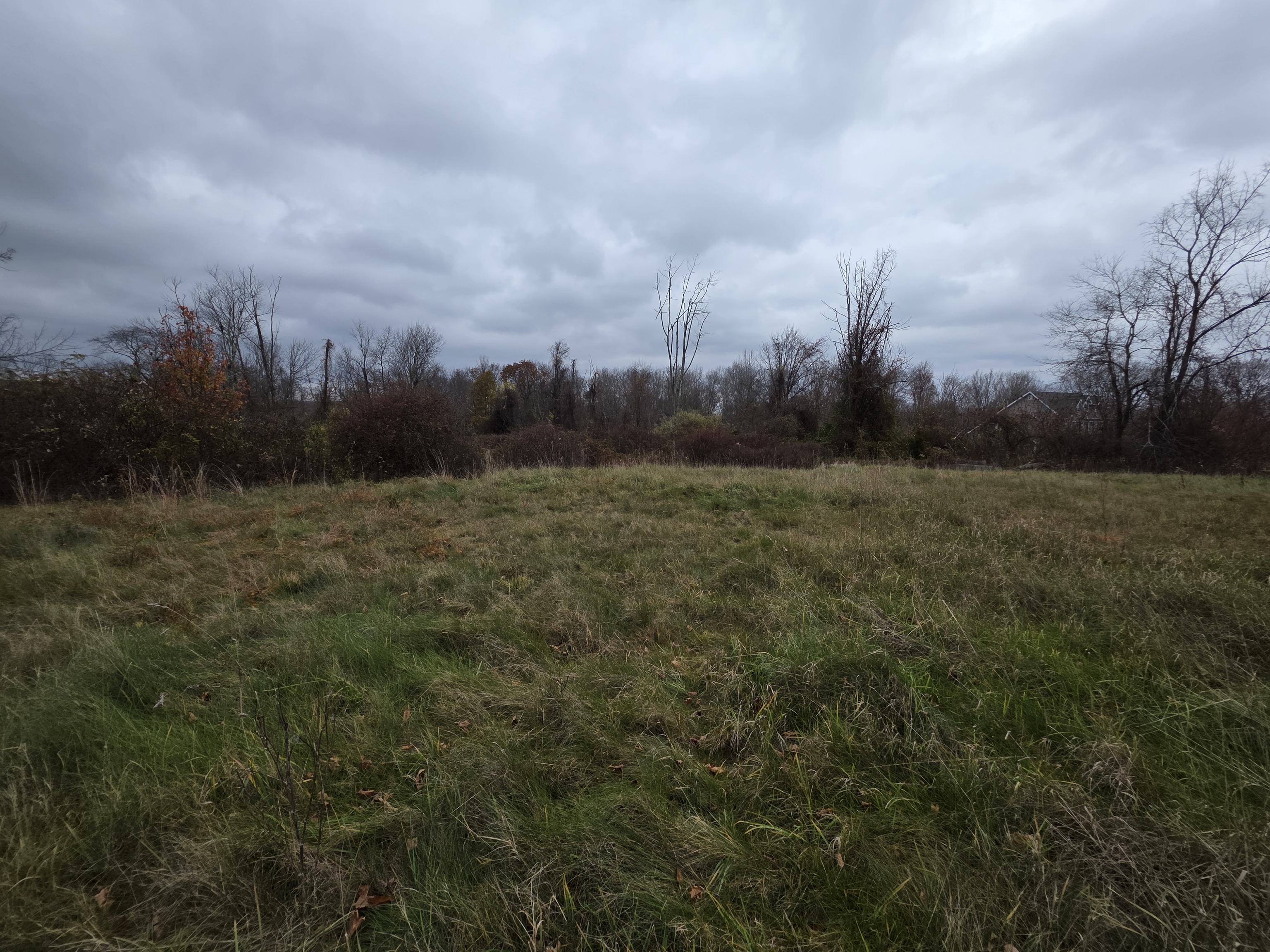 2 Lorrie Anne Drive Property Photo 10