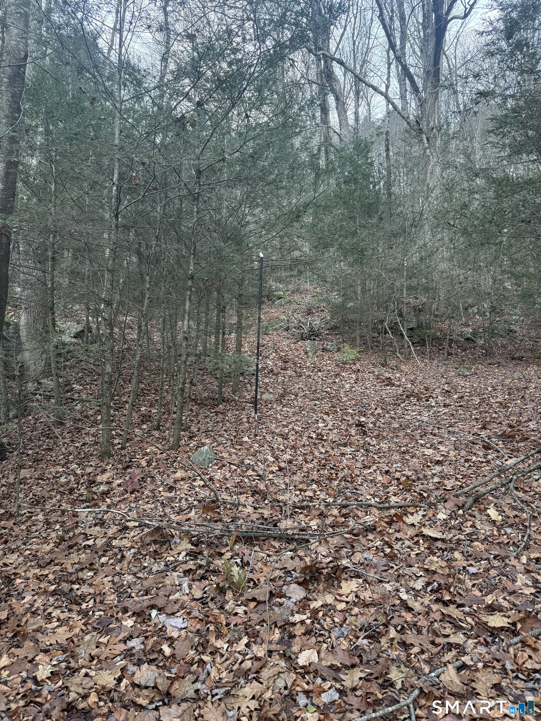 425 Colebrook River Road Property Photo 3