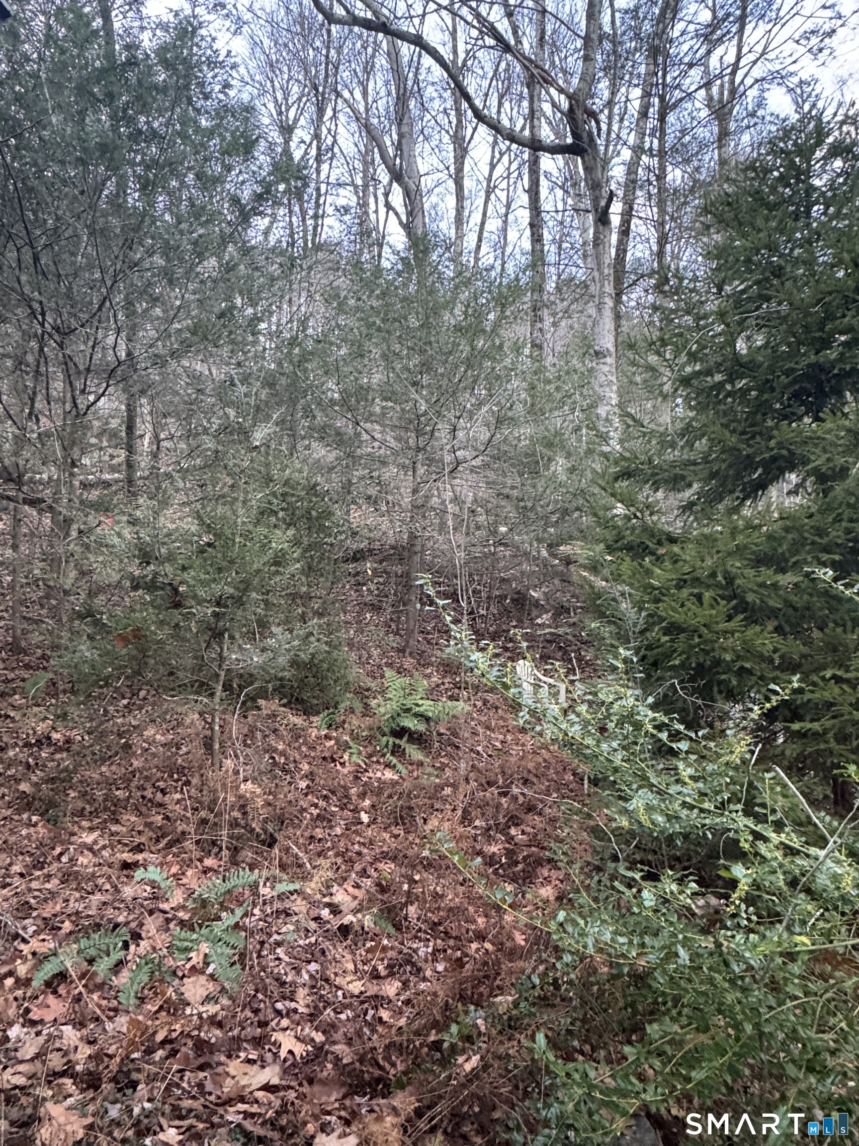 425 Colebrook River Road Property Photo 4