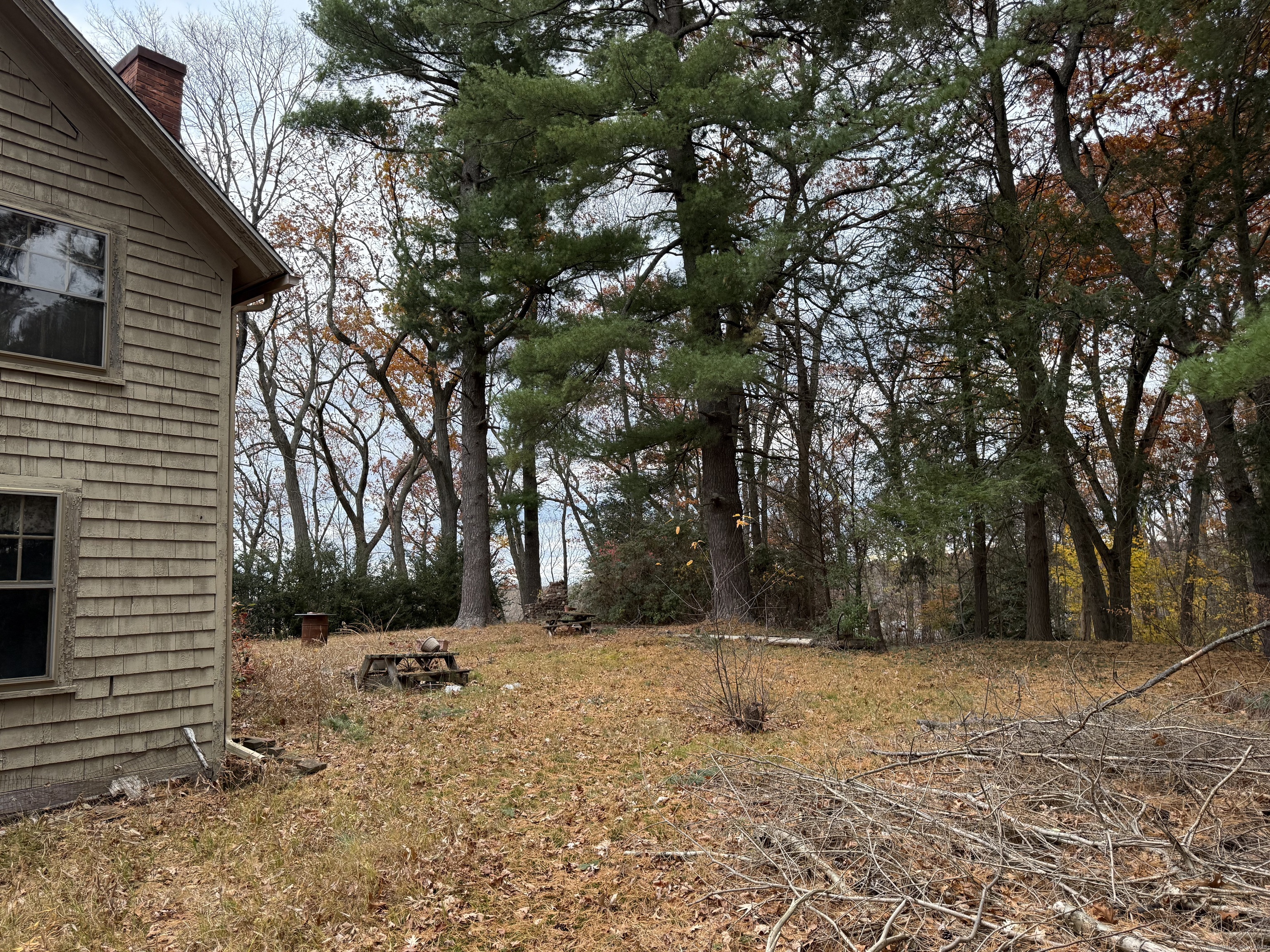 708 Hilliard Street Property Photo 3
