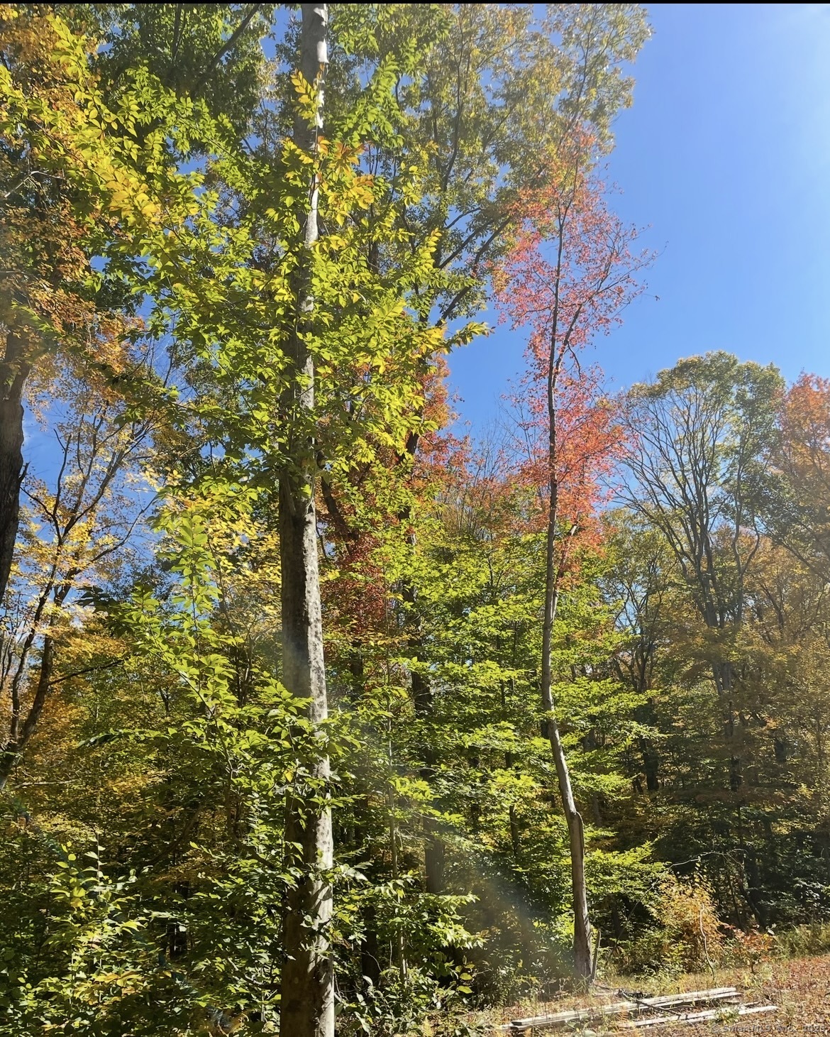 Brook Lot 4 Road