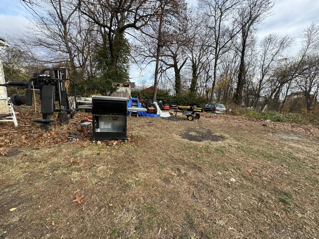 54 Agnes Street Property Photo 29