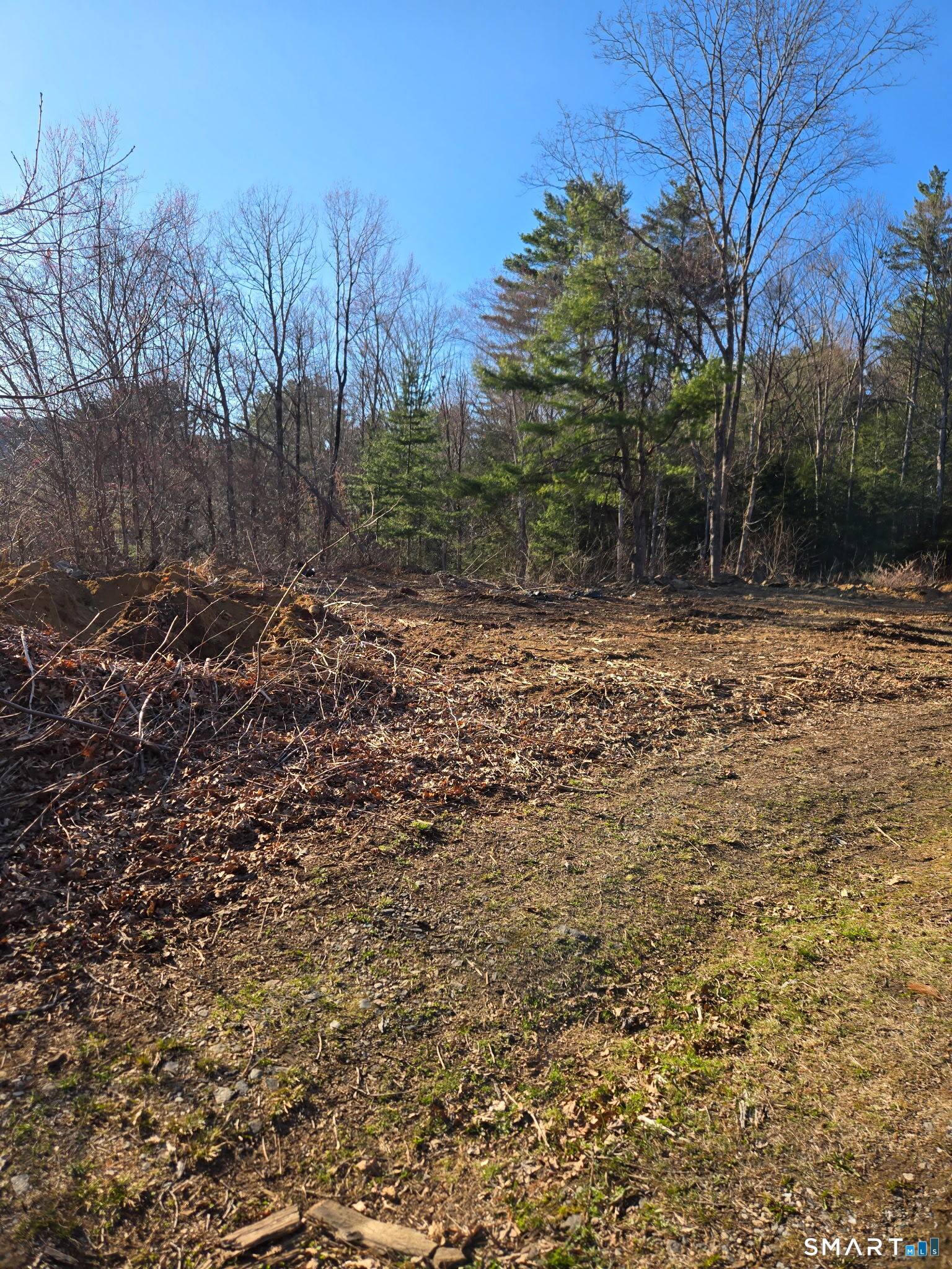 184 Campville Hill Road Property Photo 4