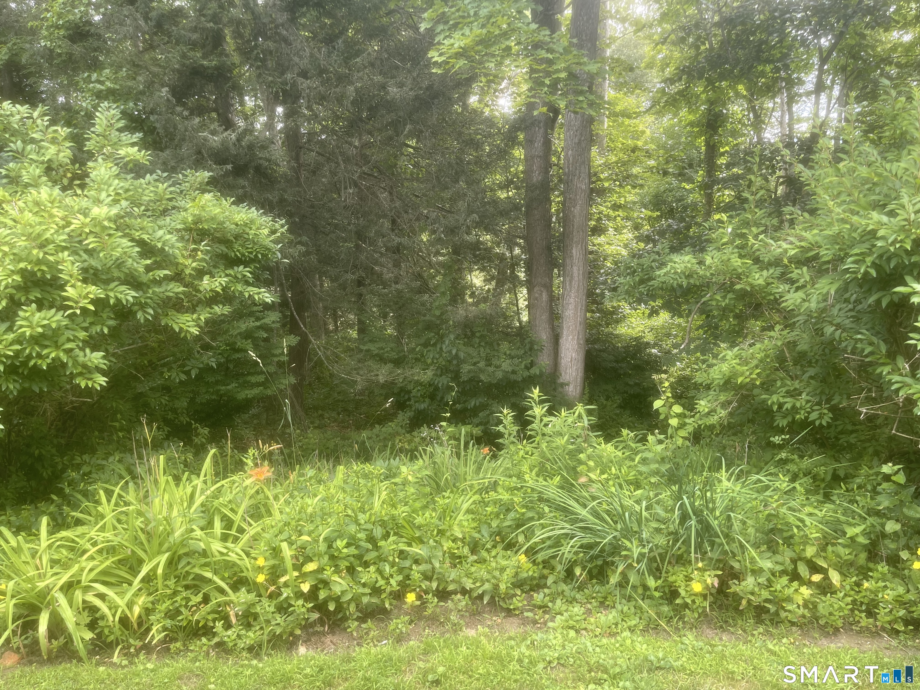 277 Heritage C Village Property Photo 17
