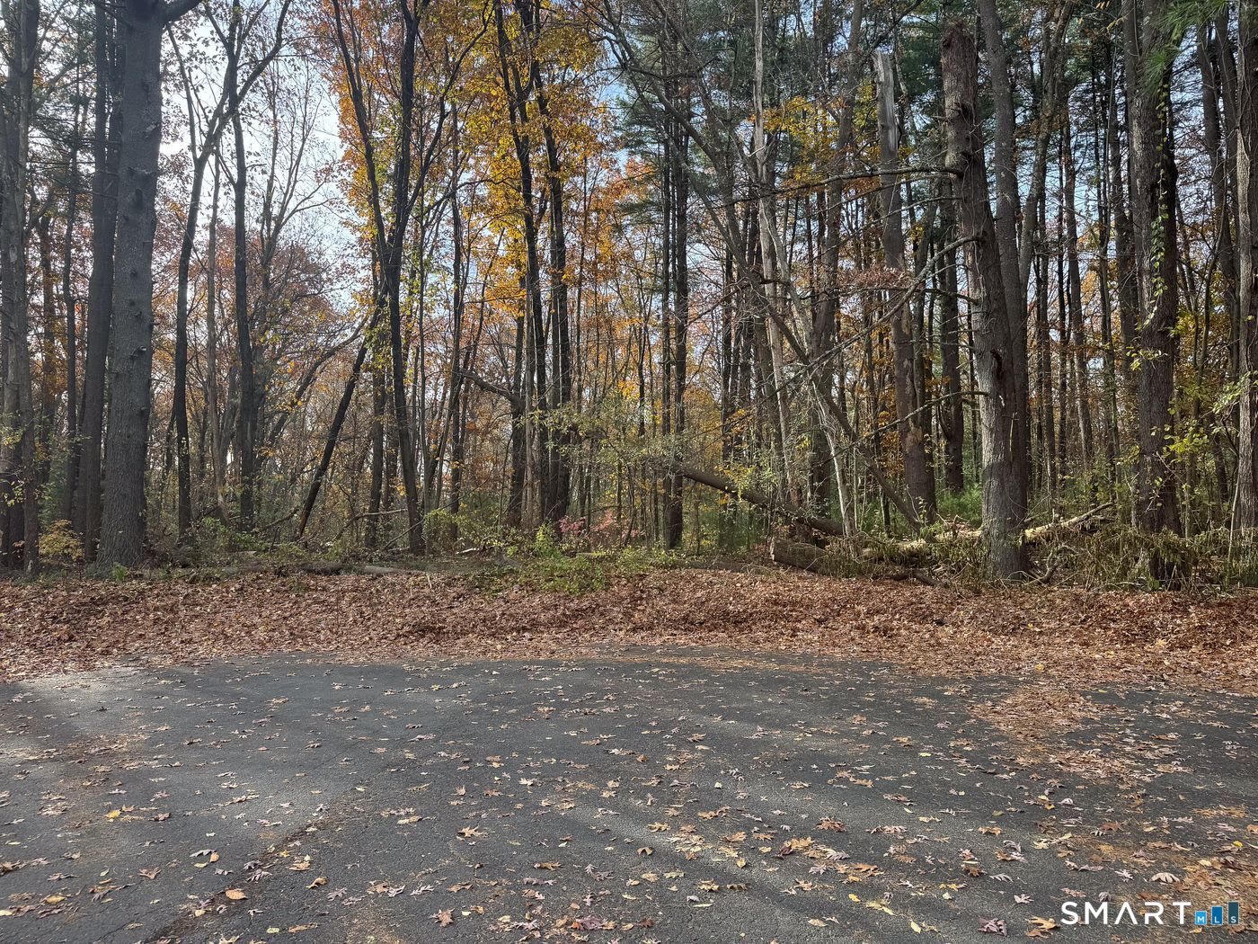0 Walnut And Larch Drive Property Photo 1