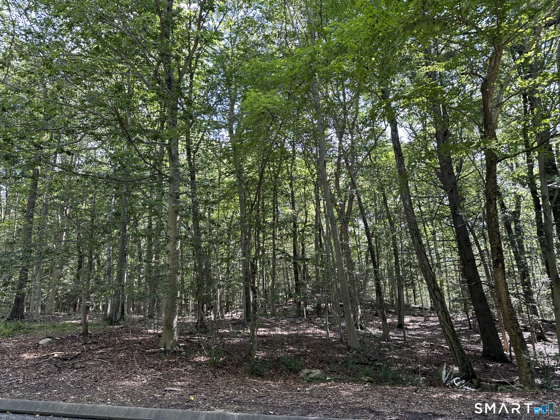 Lot #6 Brook South Drive Property Photo 1