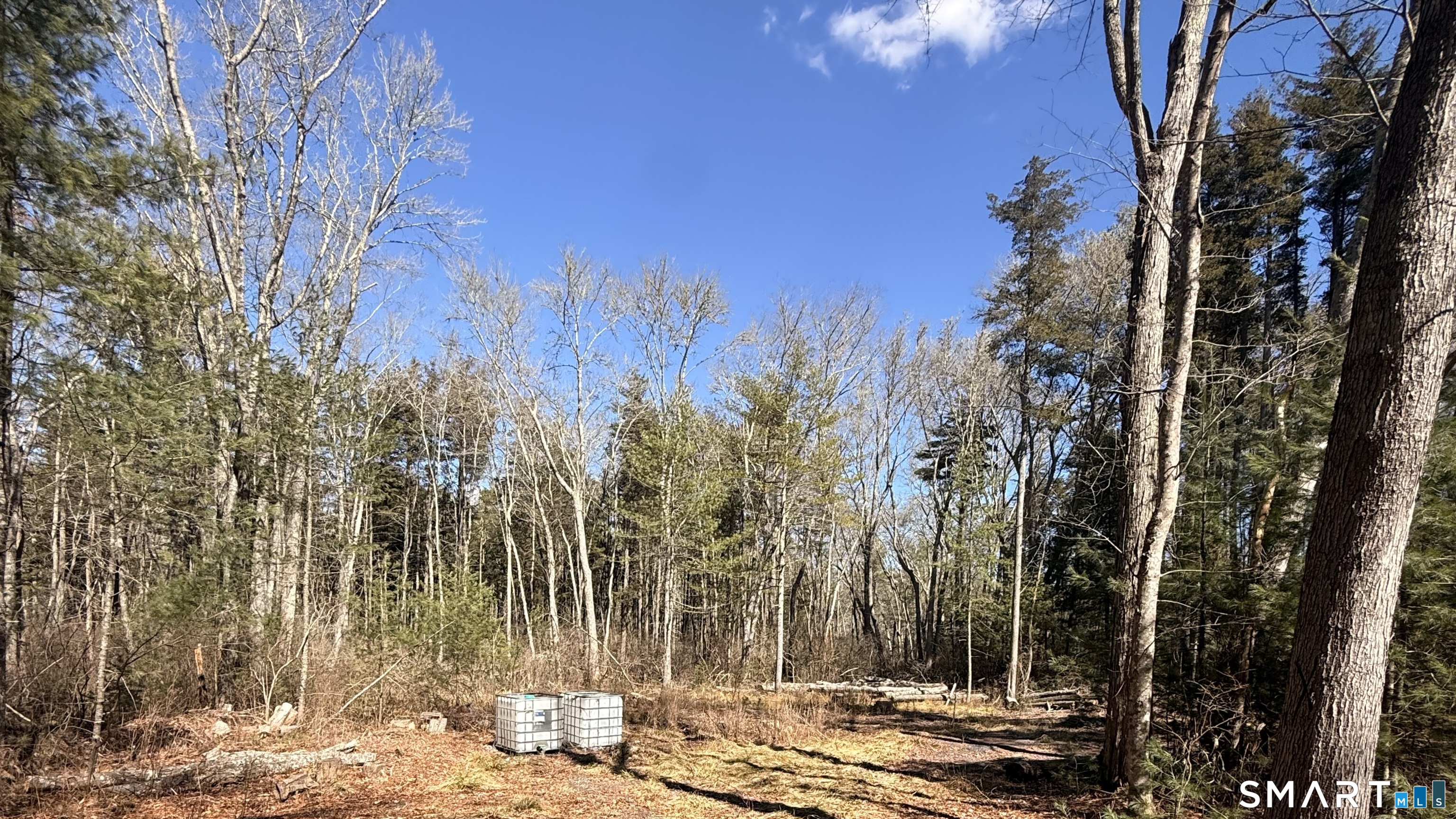 111 Stillman Road Property Photo 3
