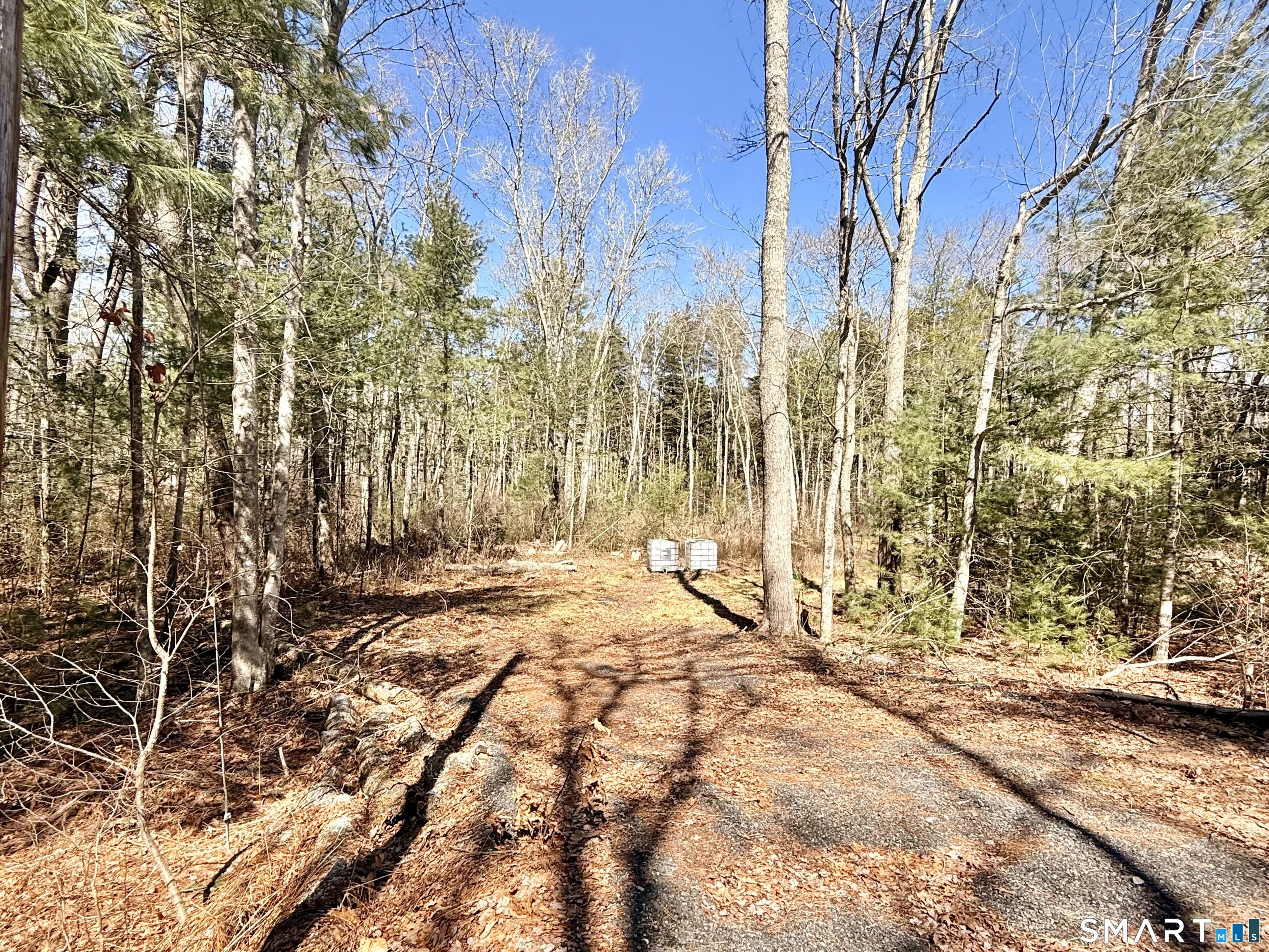111 Stillman Road Property Photo 4