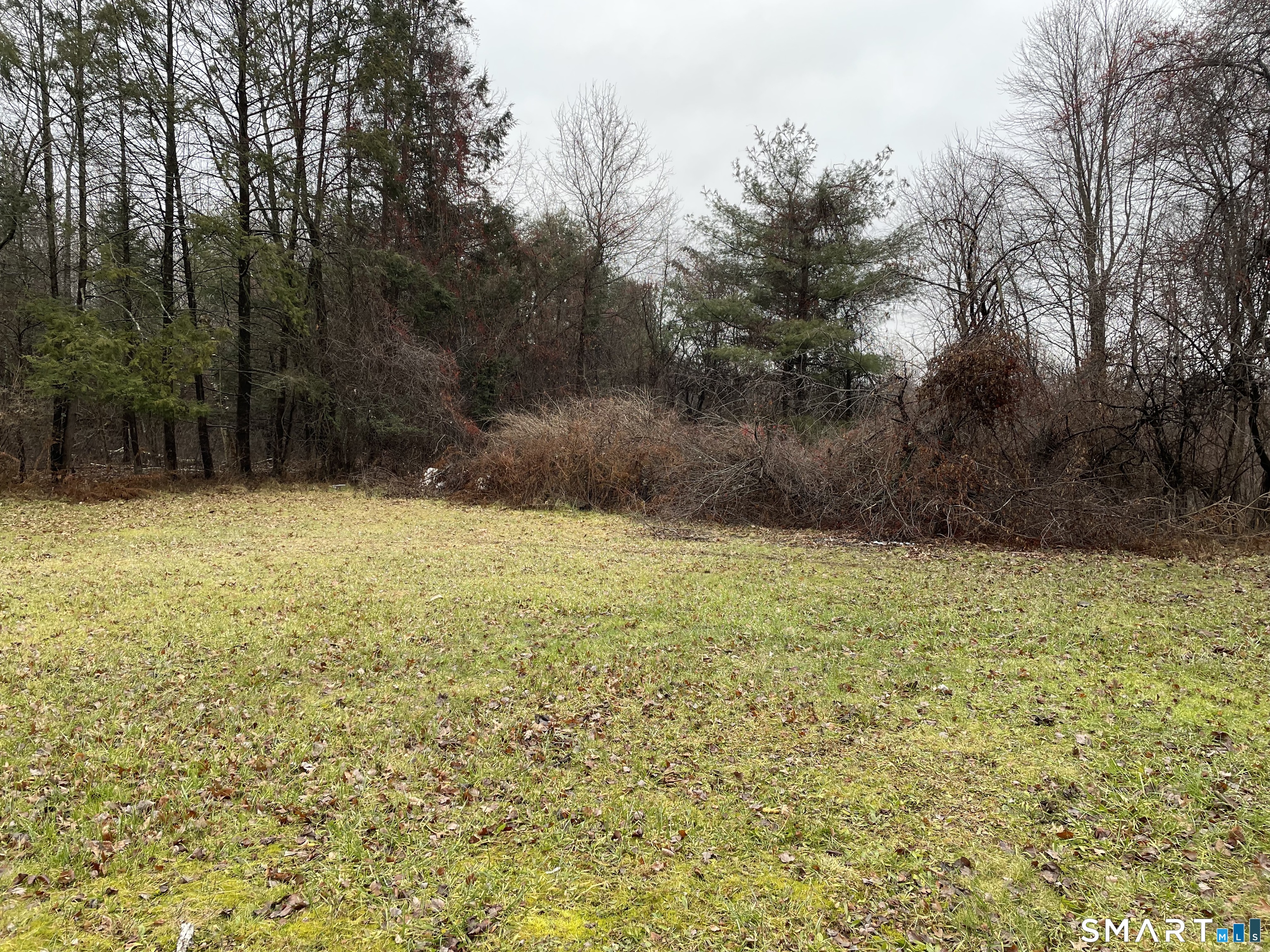 1347 Hall Boulevard Property Photo 32