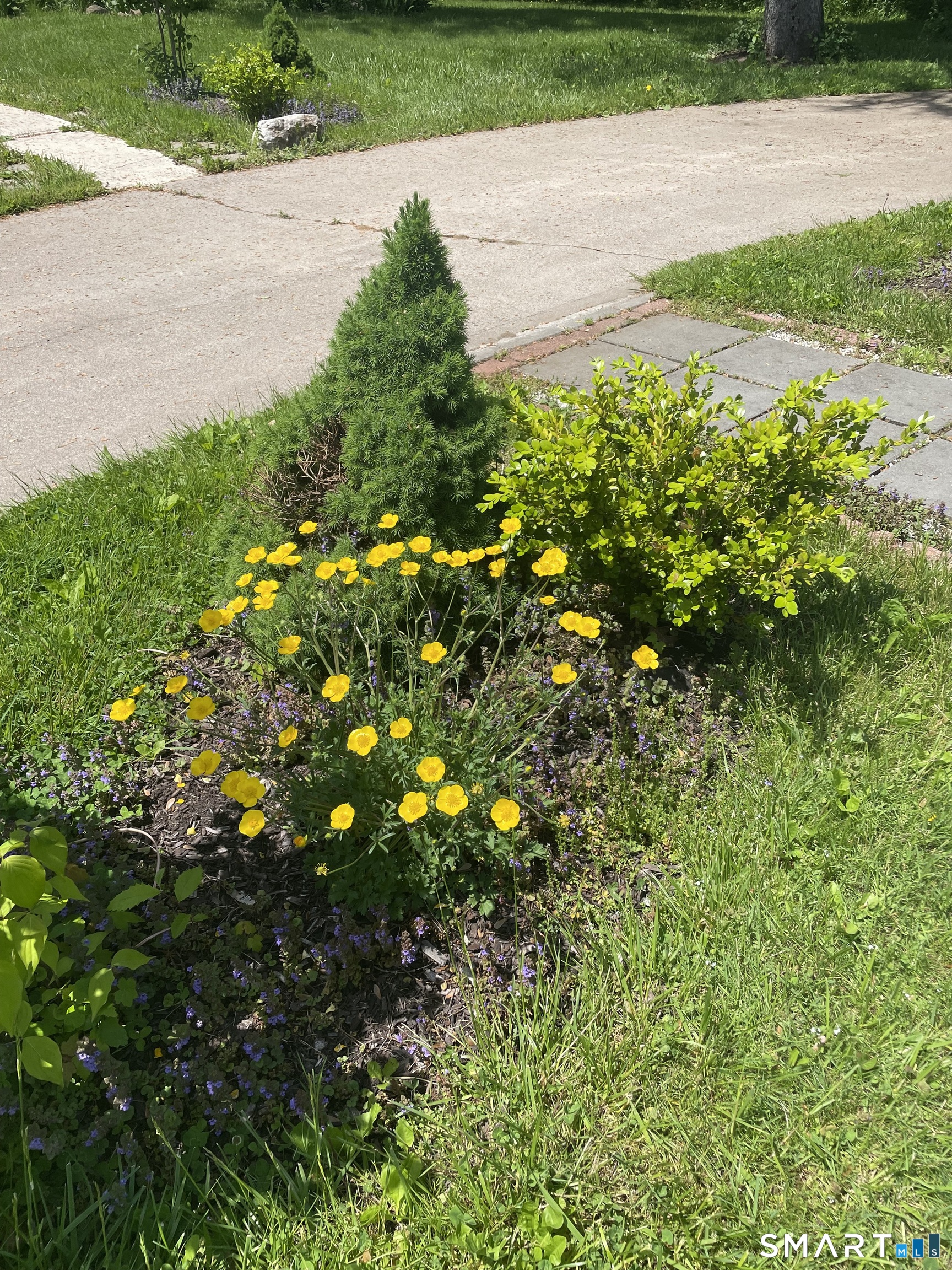 1347 Hall Boulevard Property Photo 37