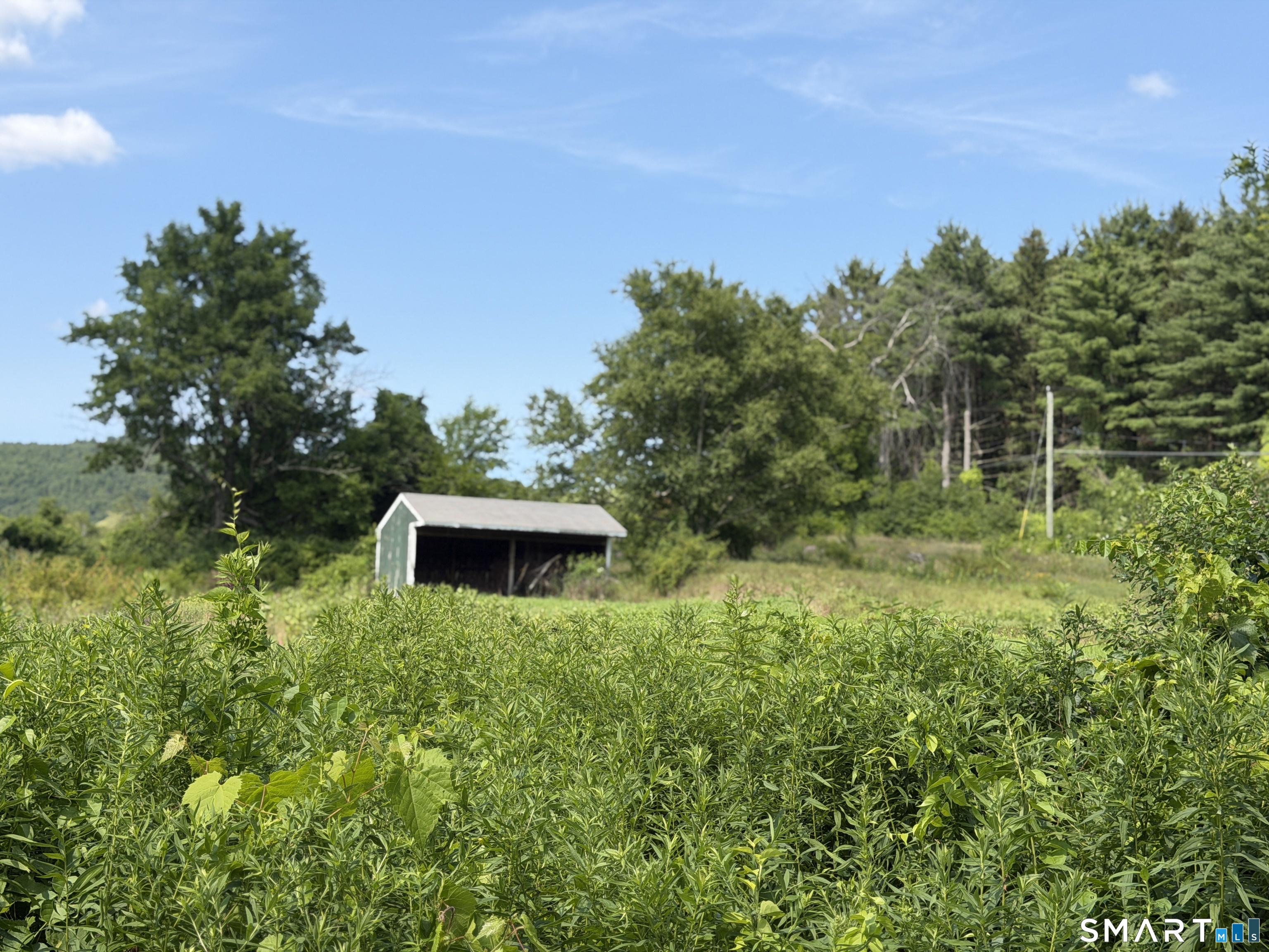 Millerton Road Property Photo 1