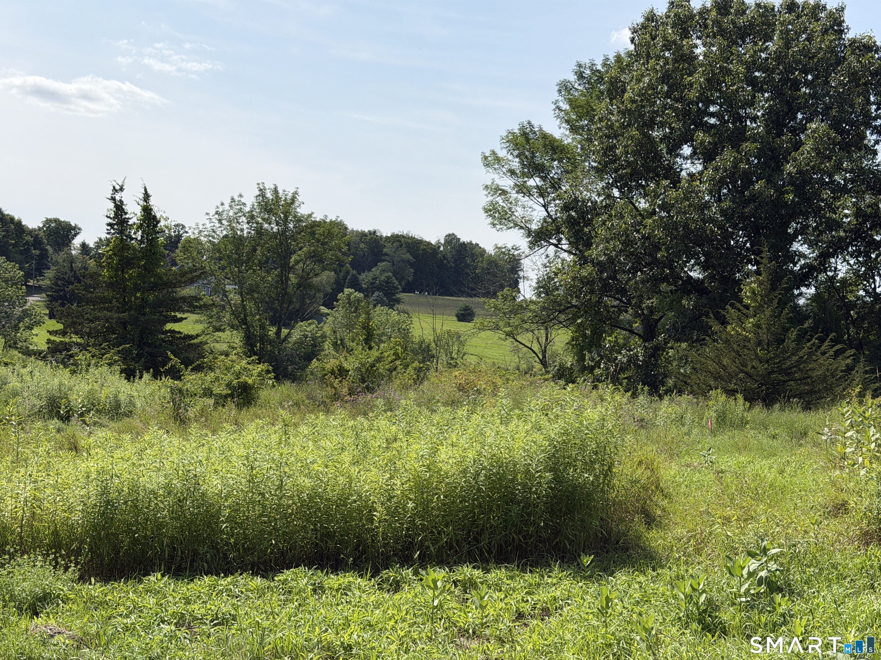 Millerton Road Property Photo 4