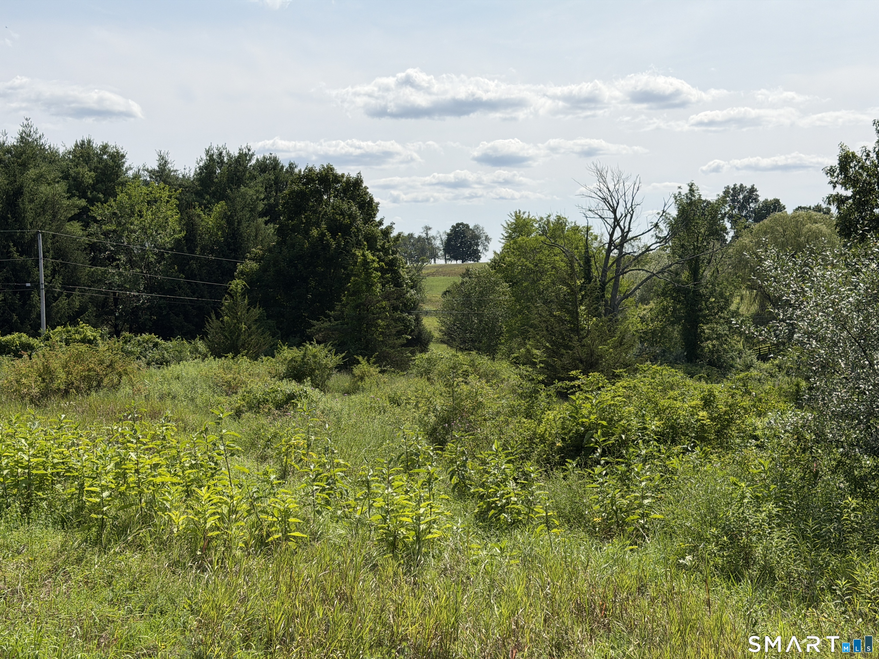 Millerton Road Property Photo 6