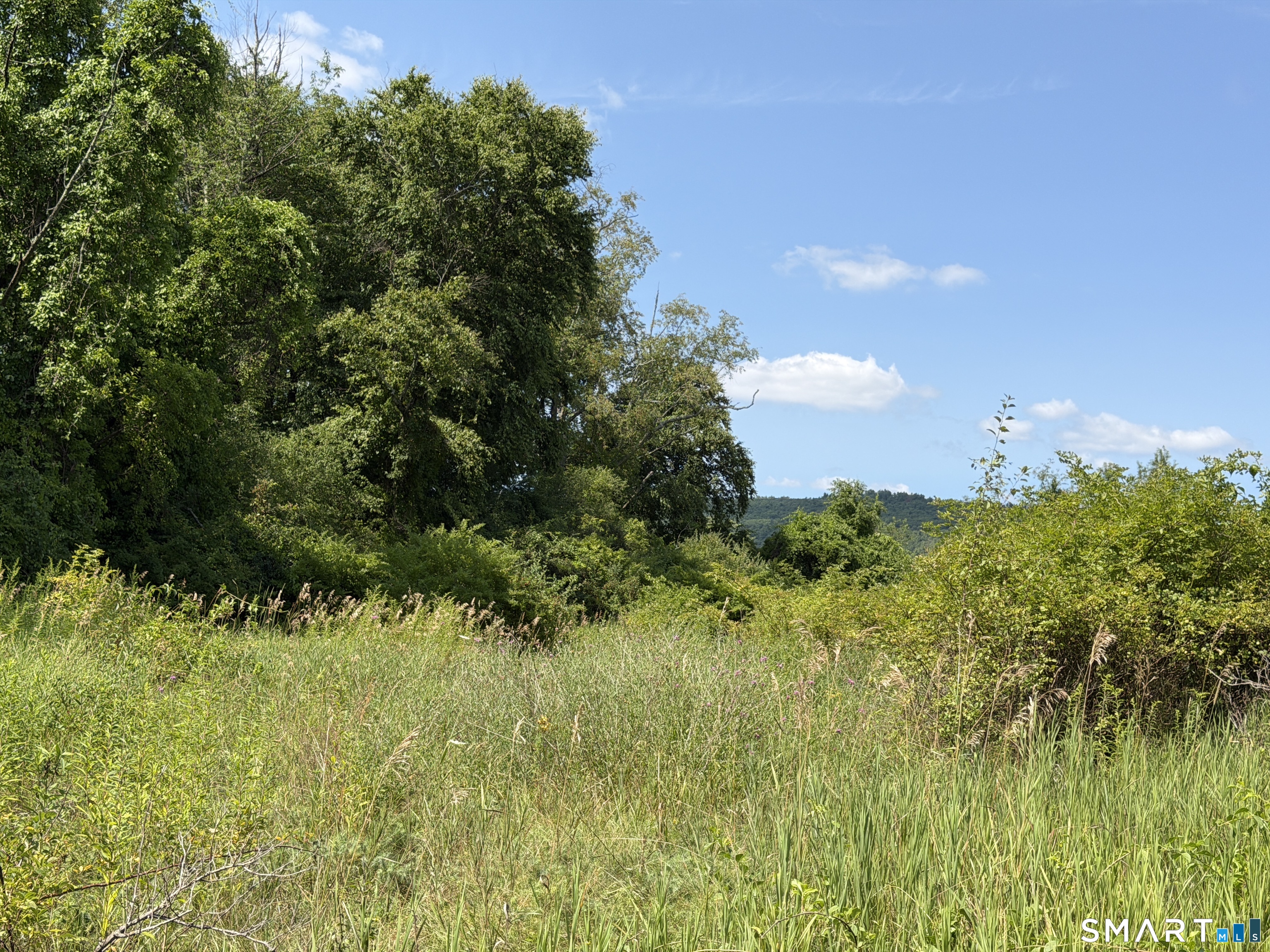 Millerton Road Property Photo 8