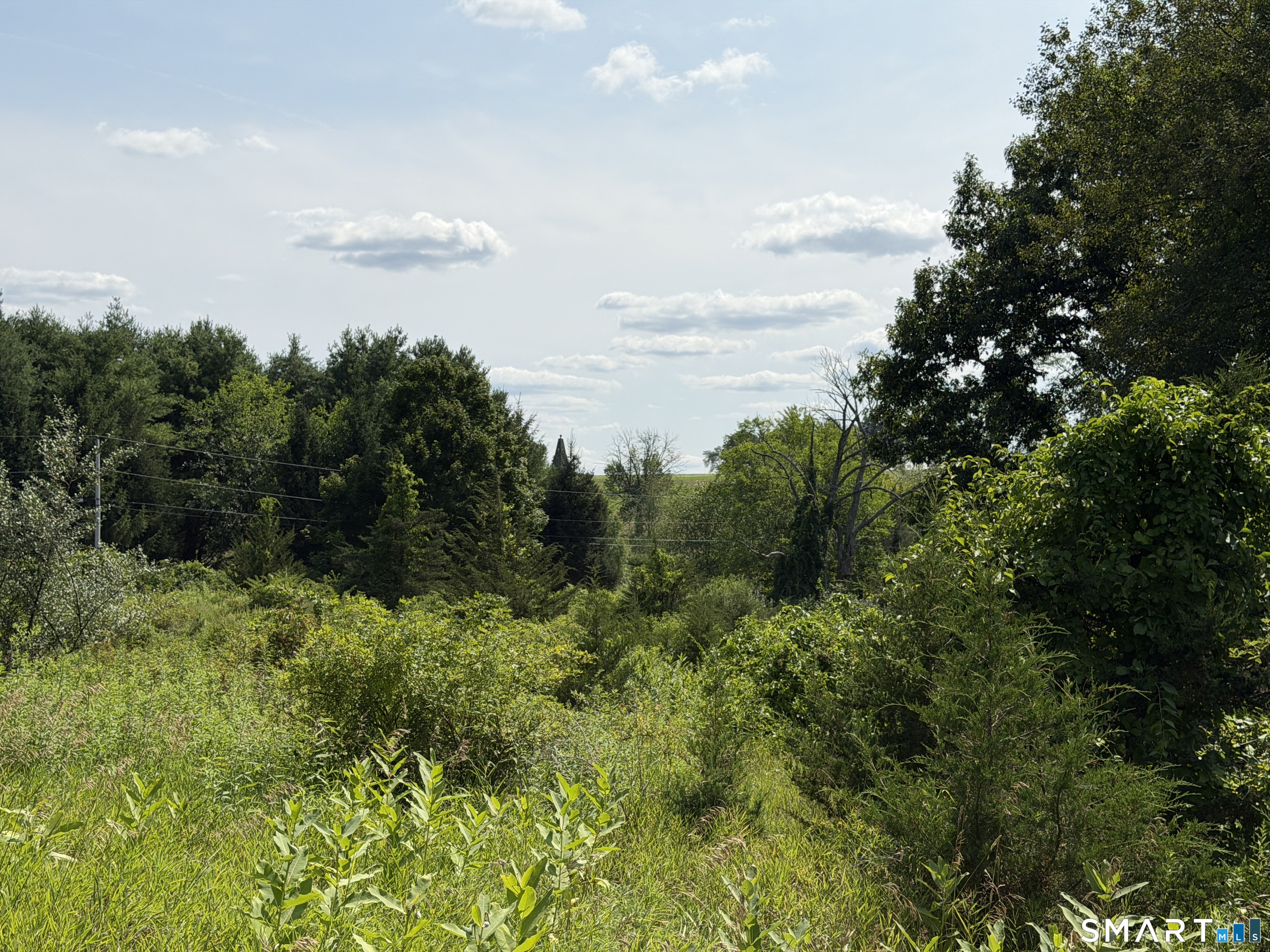 Millerton Road Property Photo 9