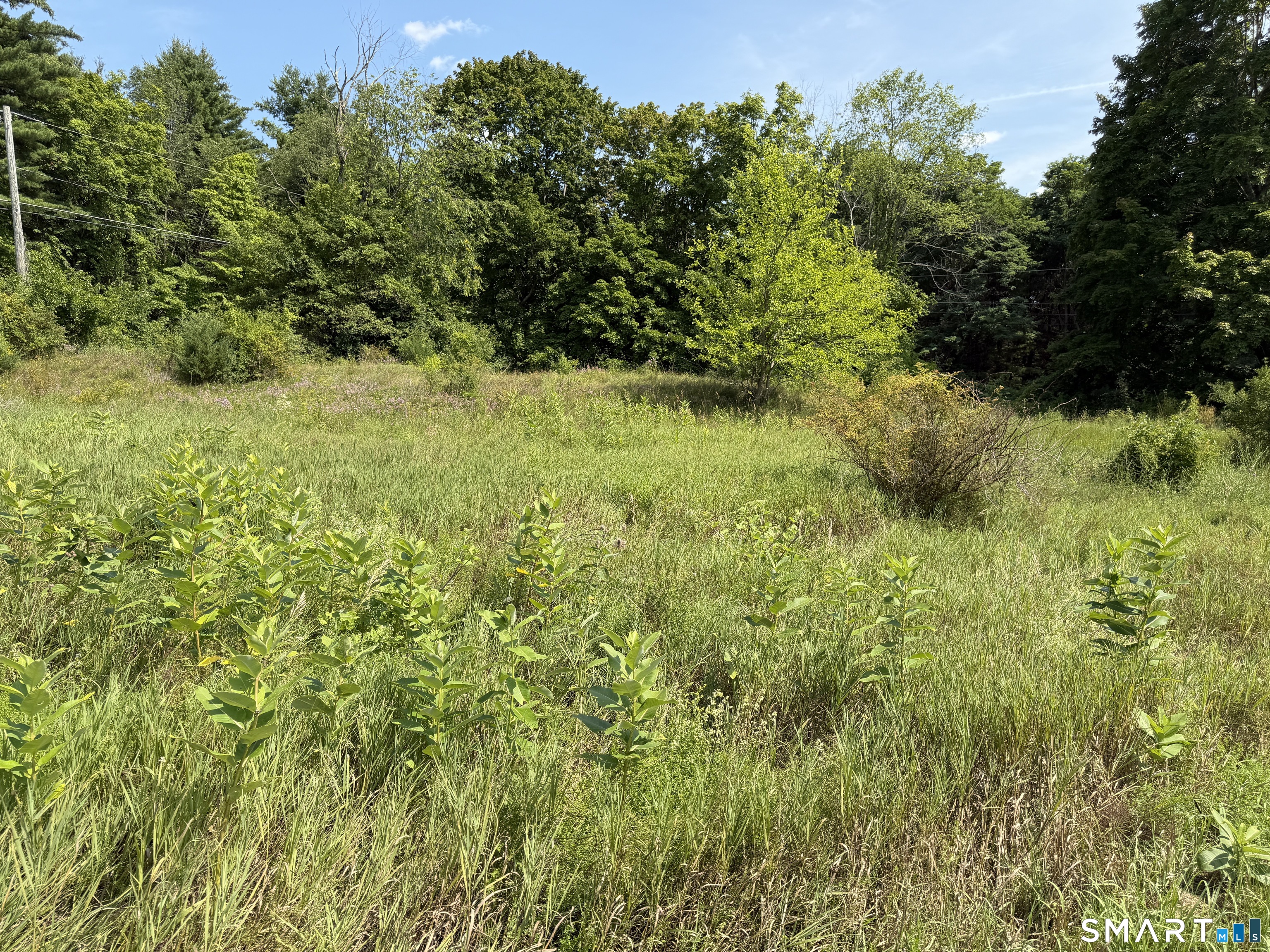 Millerton Road Property Photo 10