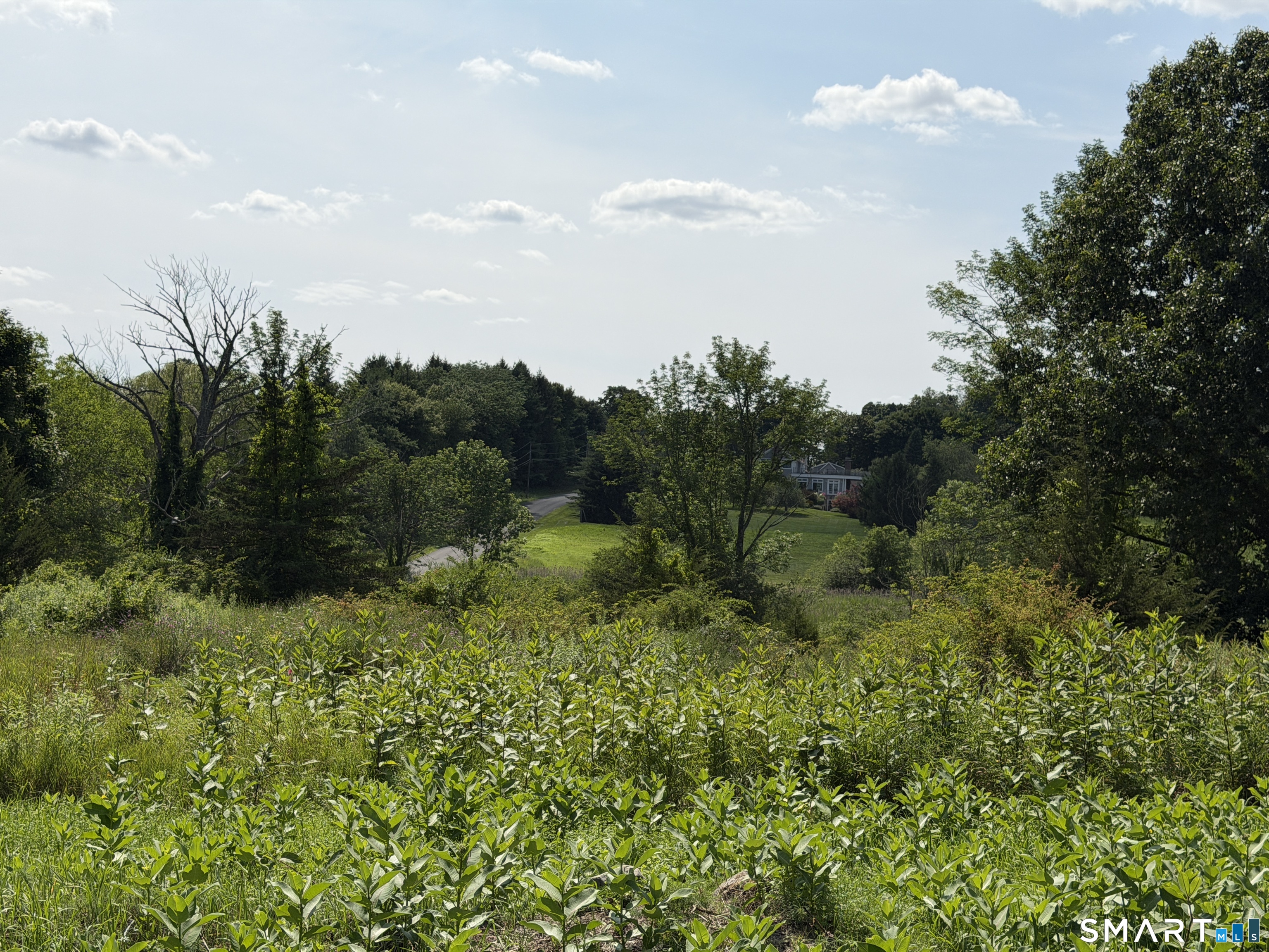 Millerton Road Property Photo 11
