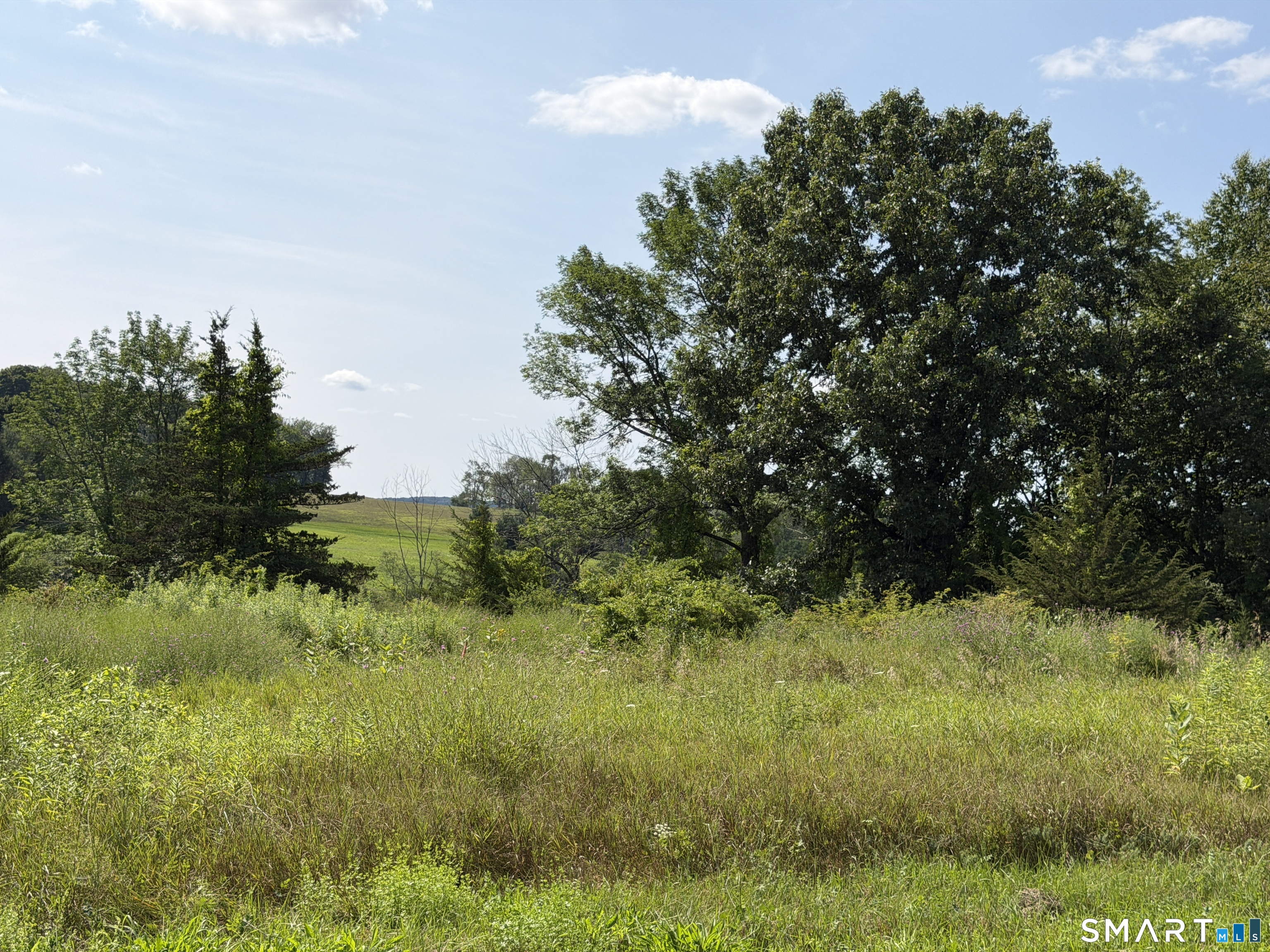 Millerton Road Property Photo 12
