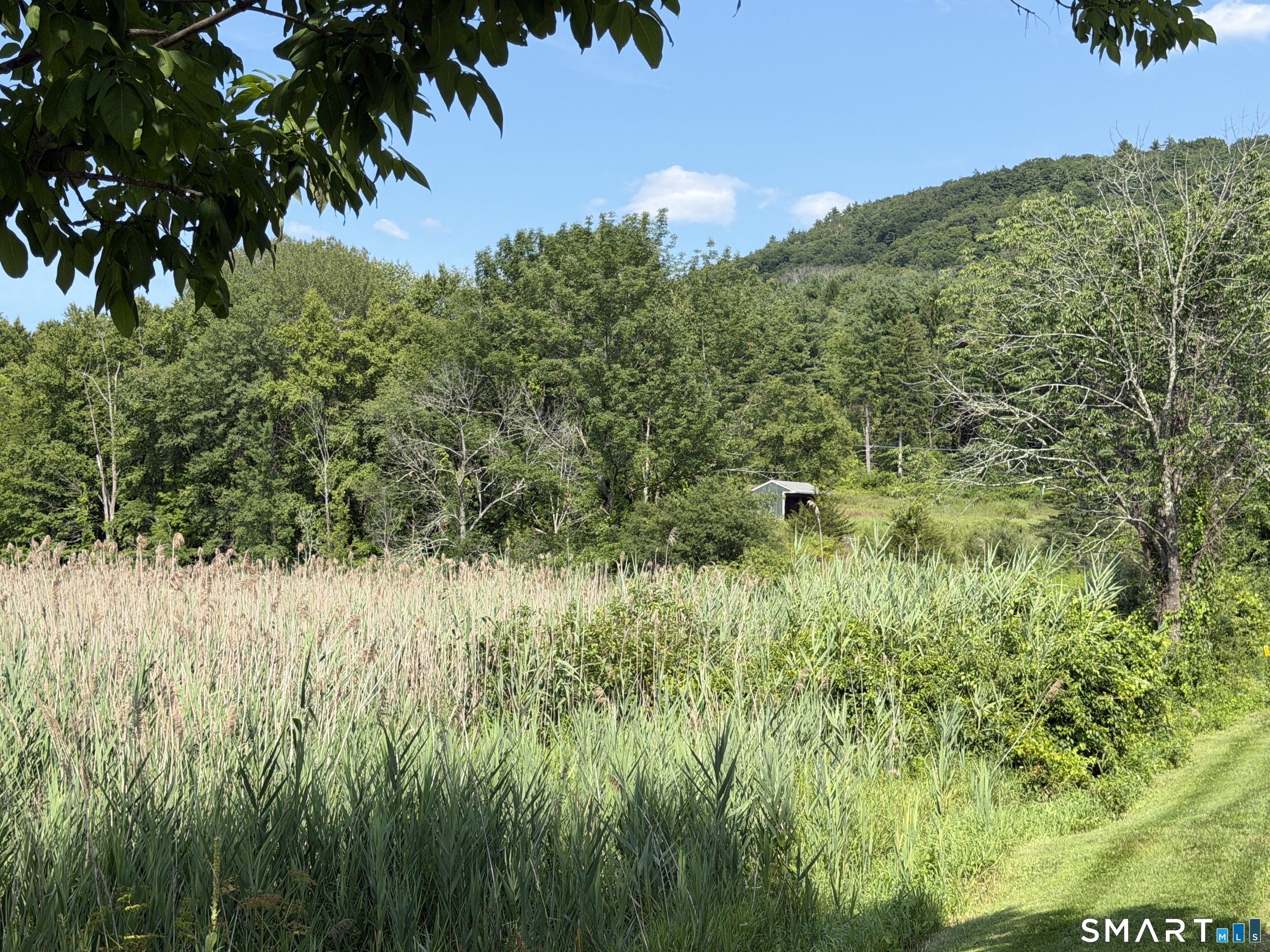 Millerton Road Property Photo 15