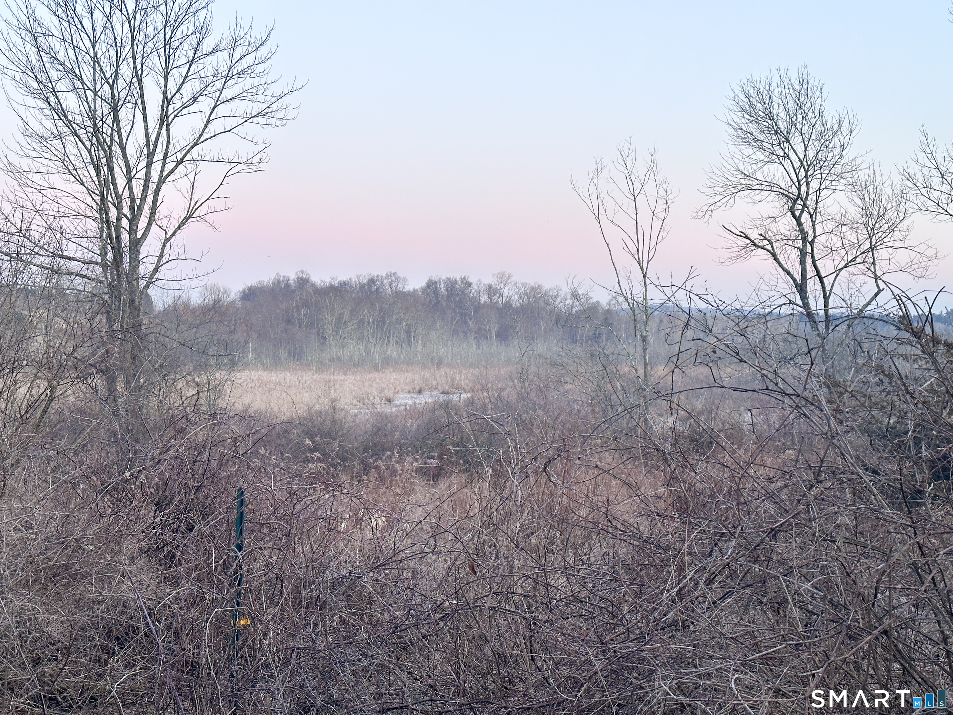 Millerton Road Property Photo 19