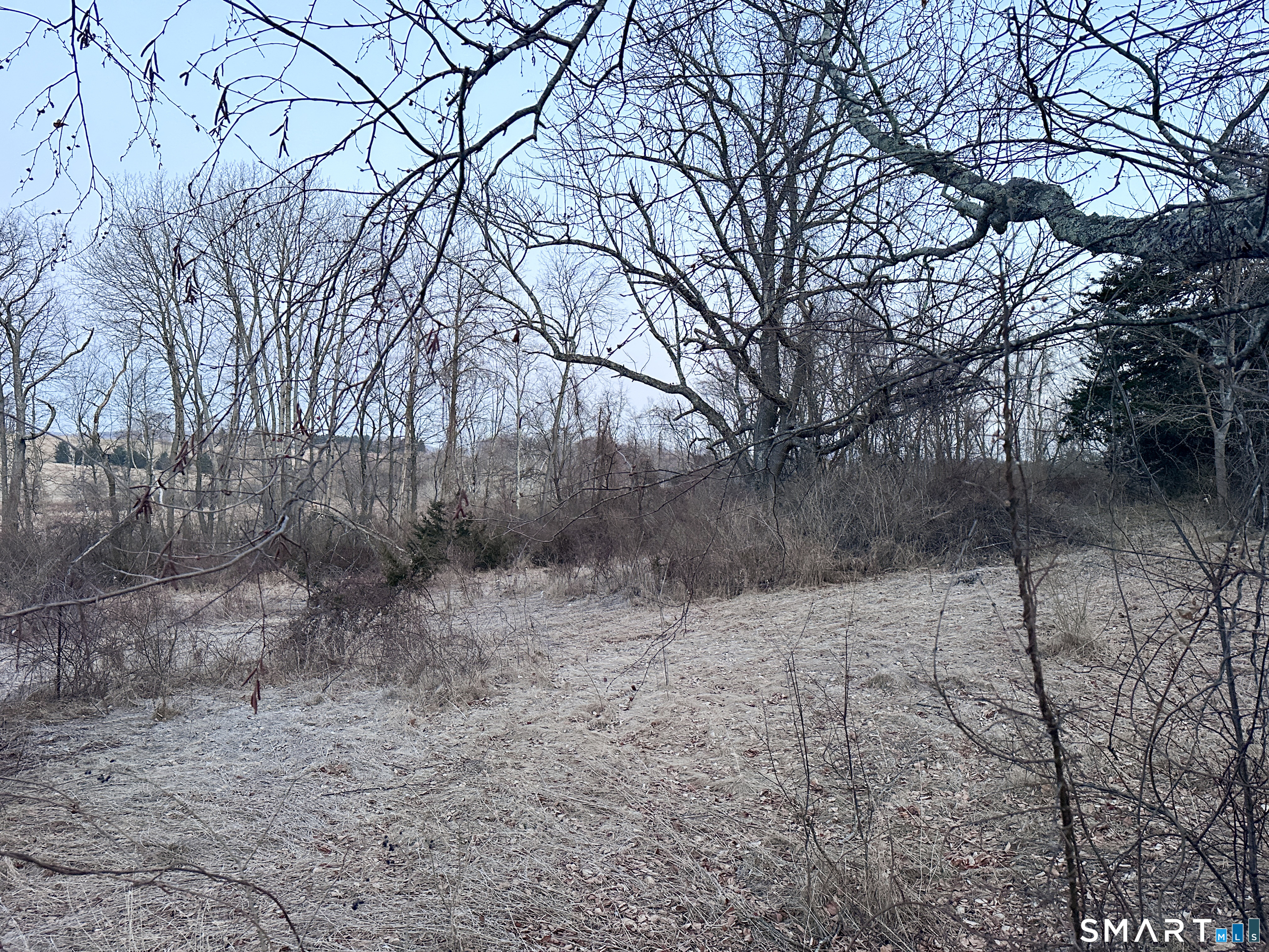 Millerton Road Property Photo 20